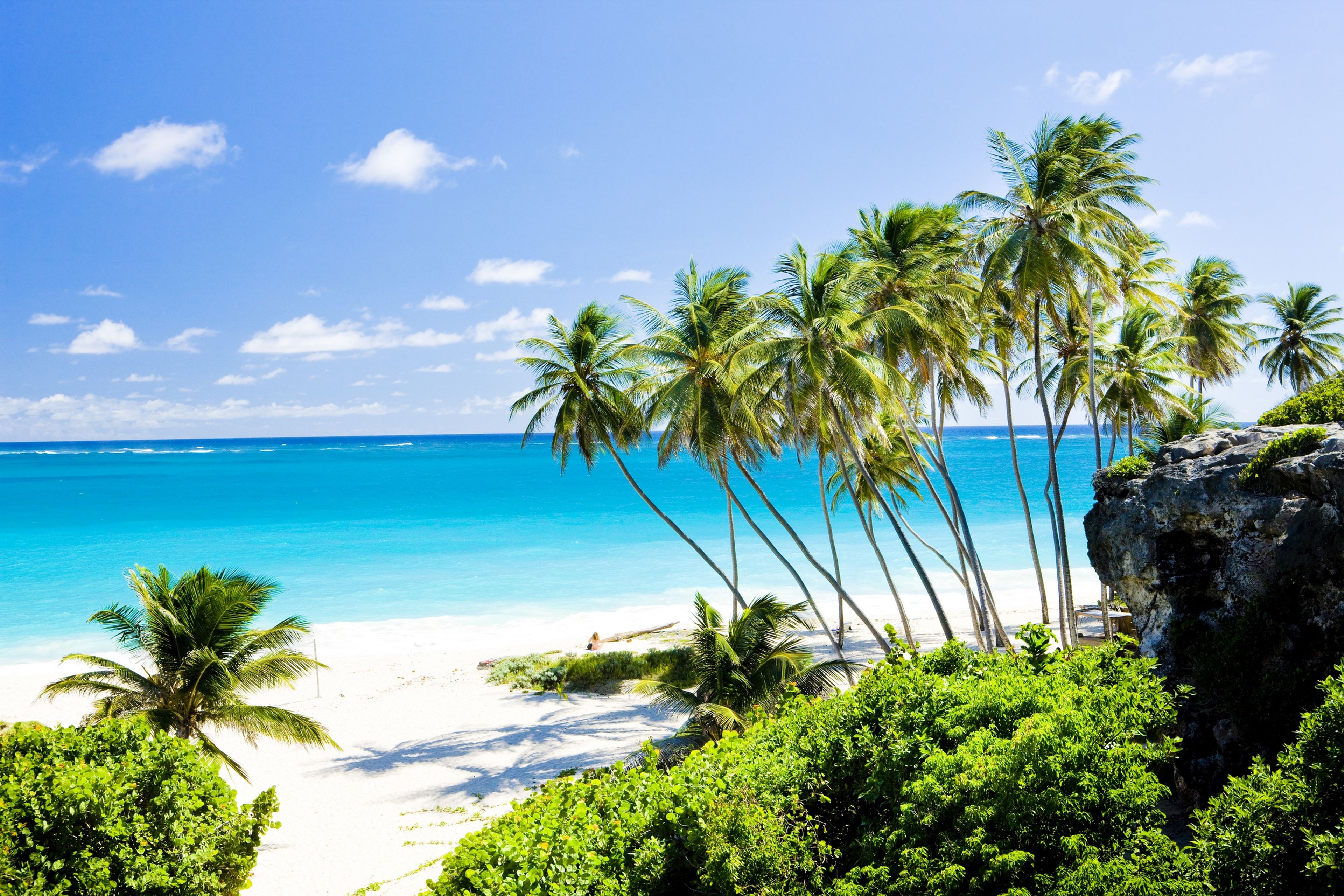 ¿Tienes que teletrabajar? Ahora puedes hacerlo desde la isla paradisíaca de Barbados, con su visado de un año