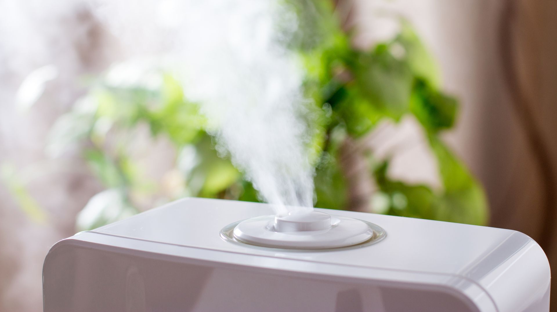Humidificadores cuál es mejor, cómo funcionan y qué tener en cuenta al