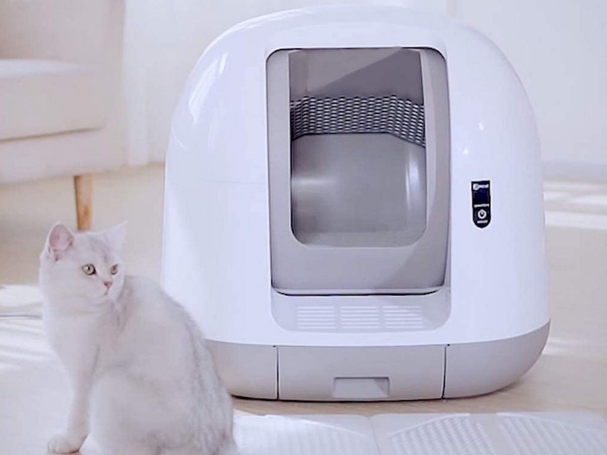 Este arenero inteligente para gatos se limpia el solo y cuesta mucho menos  que los demás