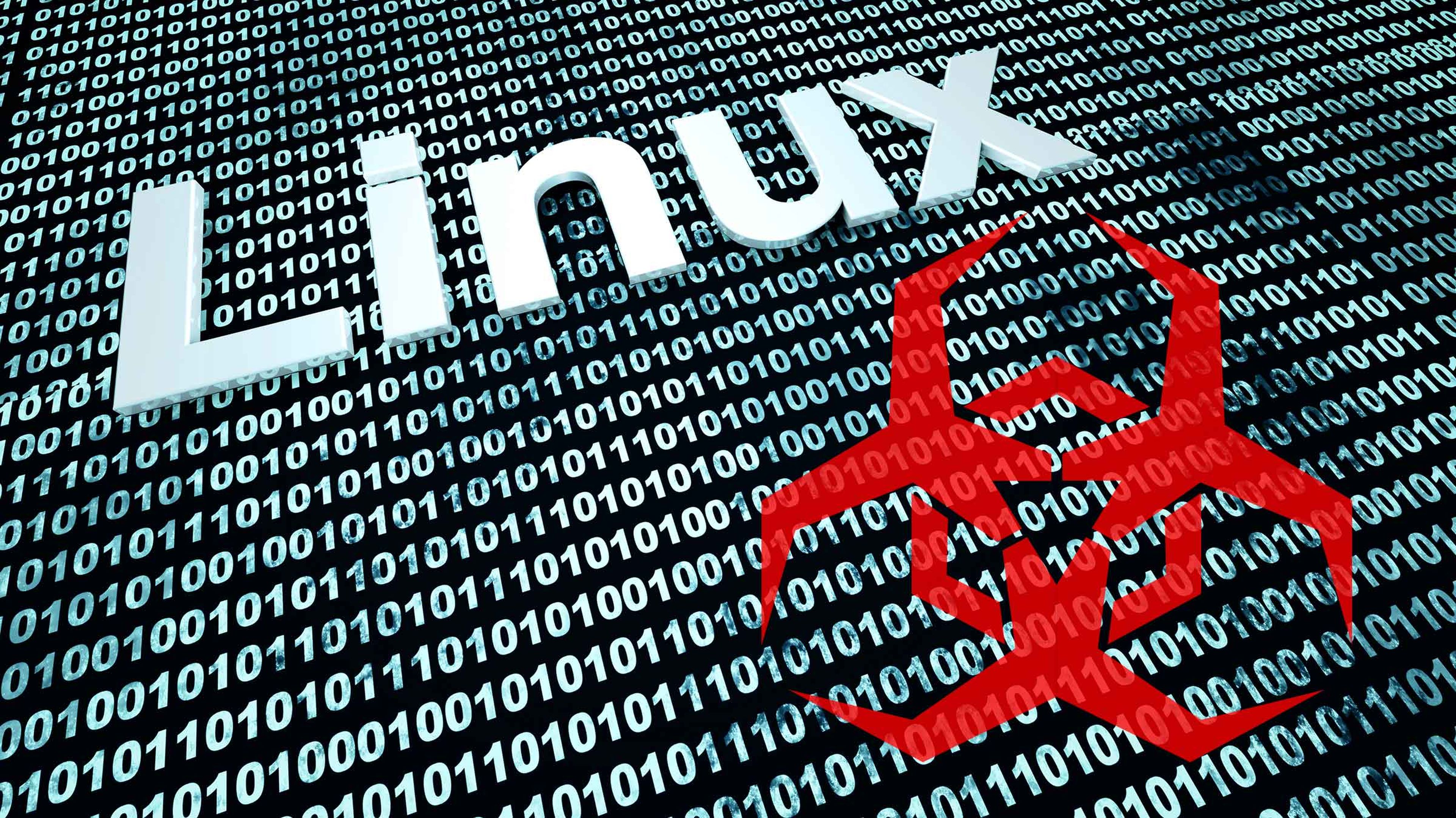 Linux malware
