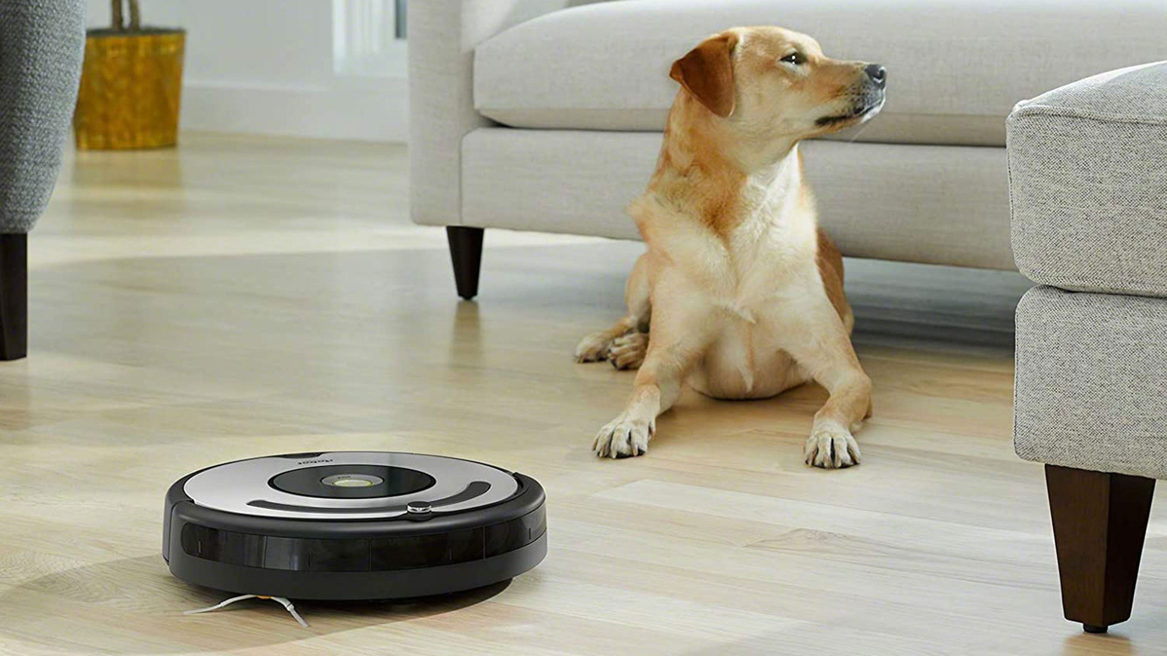 antes que se acaben: Amazon vende una Roomba por sólo euros, y con asistente por incluido | Computer Hoy