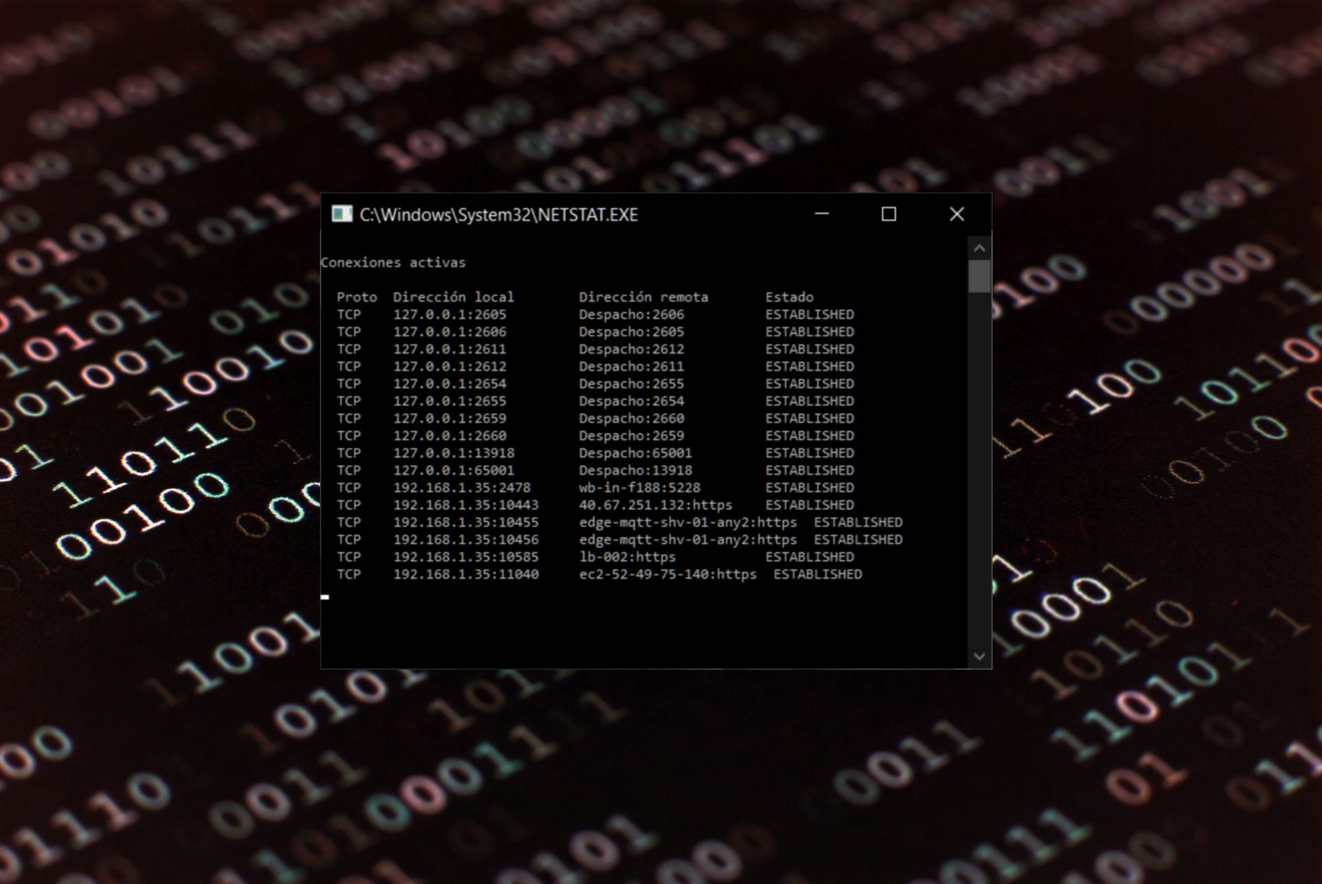 Cómo usar Netstat en Windows 10 para solucionar tus problemas de conexión