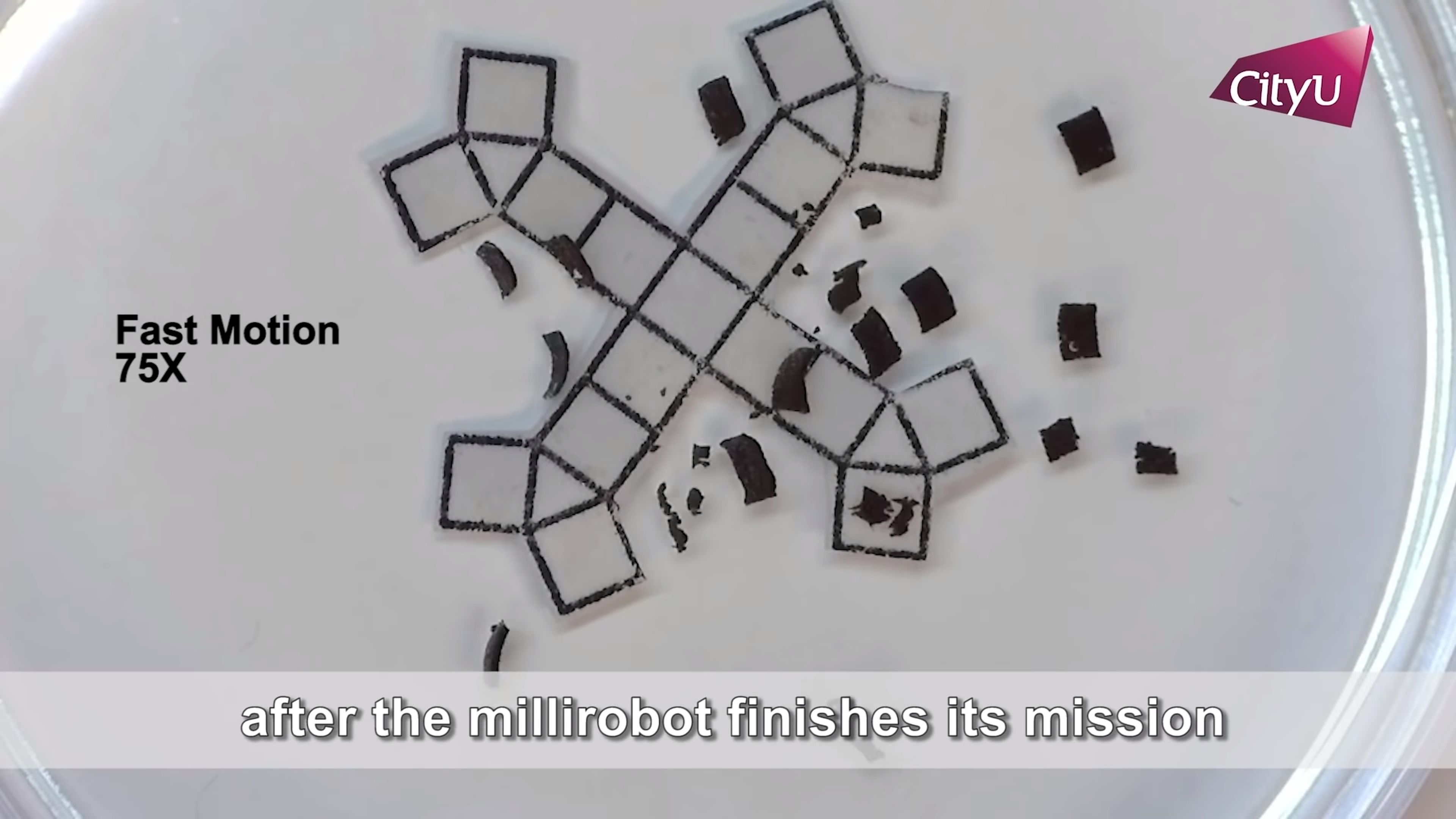Un espray convierte pequeños objetos inanimados en robots que andan y saltan