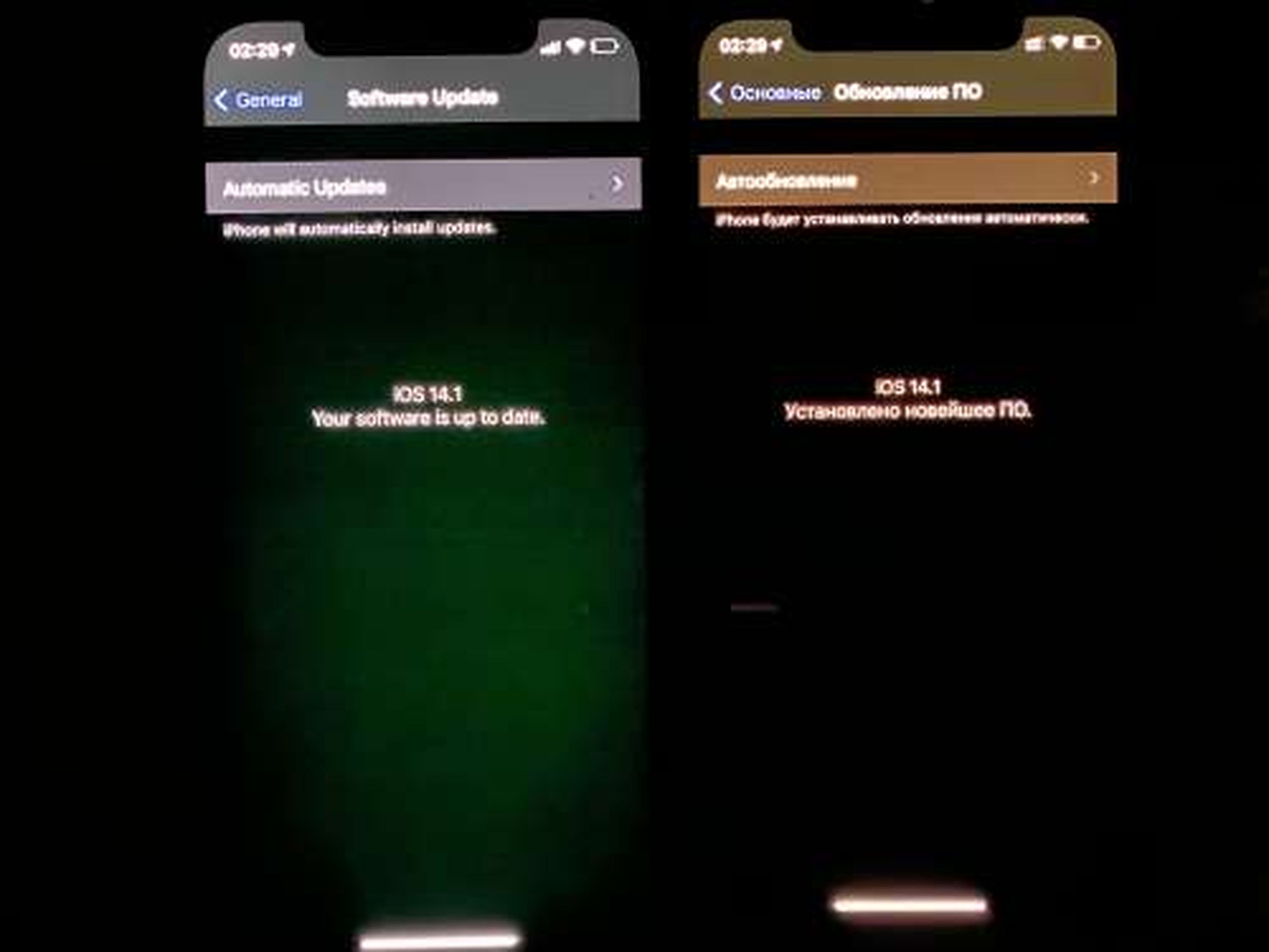 Problema de la pantalla verde del iPhone 11: cómo solucionarlo