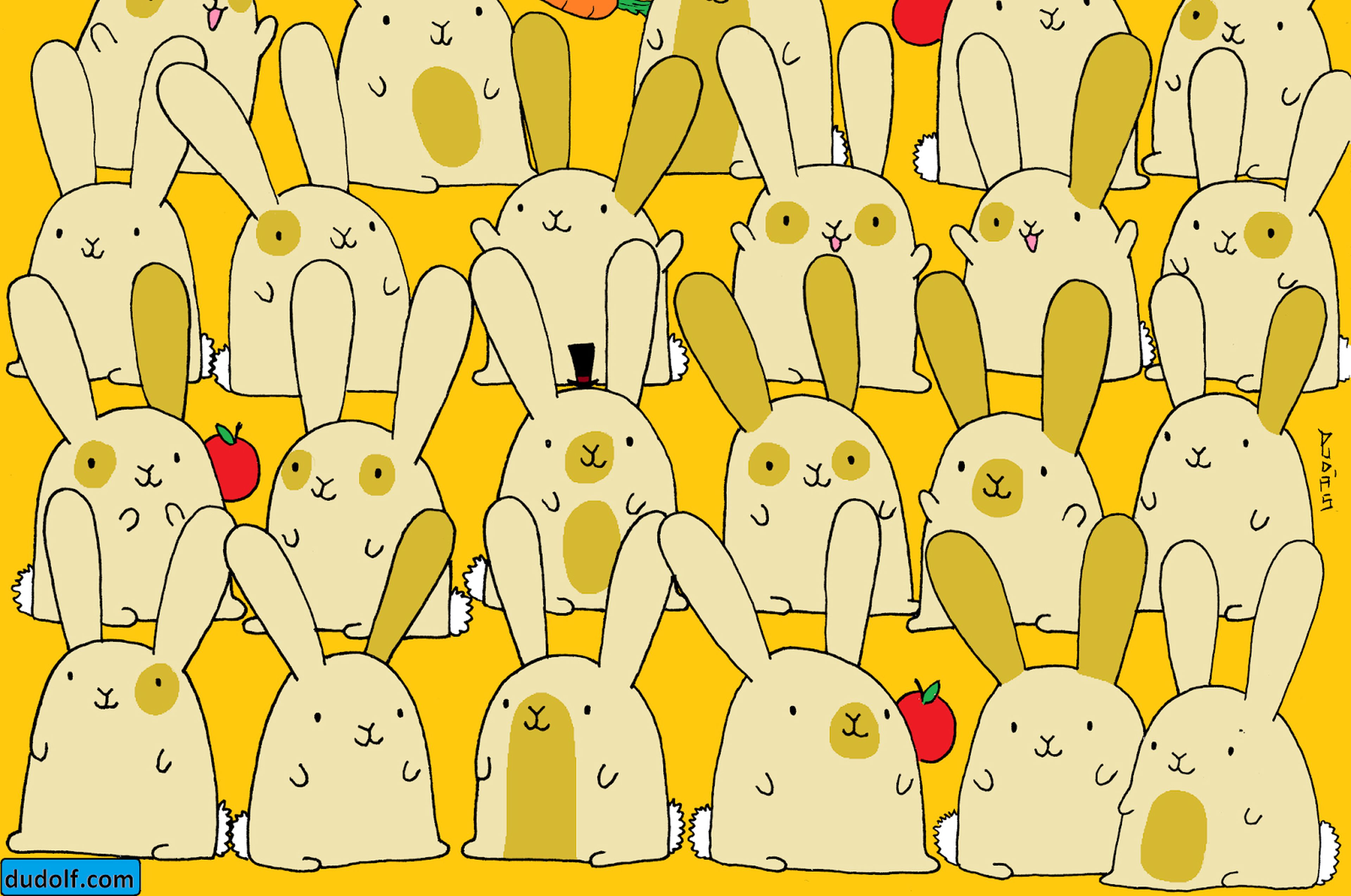 Reto de agudeza visual: ¿puedes encontrar al conejo sin pareja?