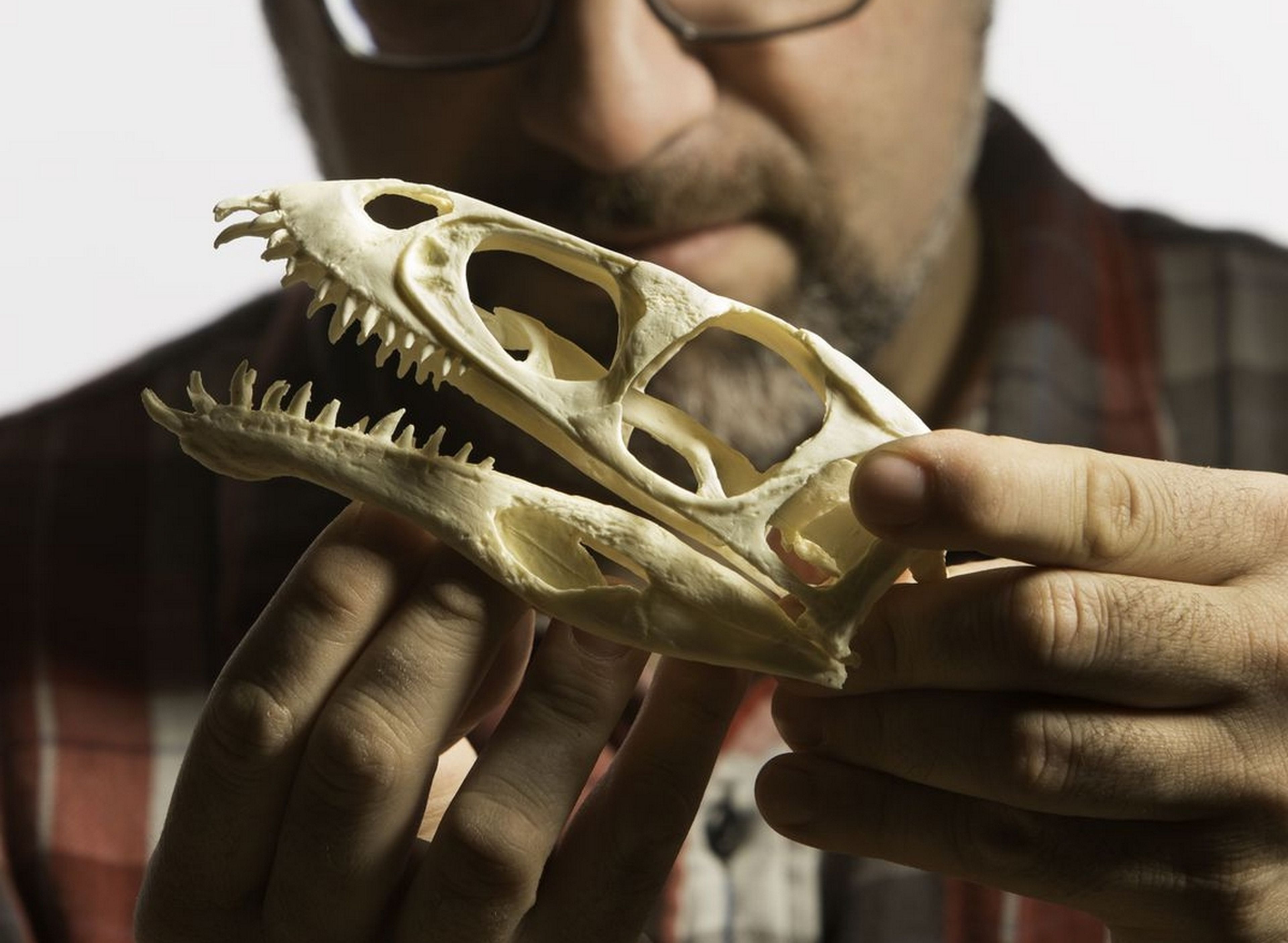 Huesos de dinosurio impresos en 3D