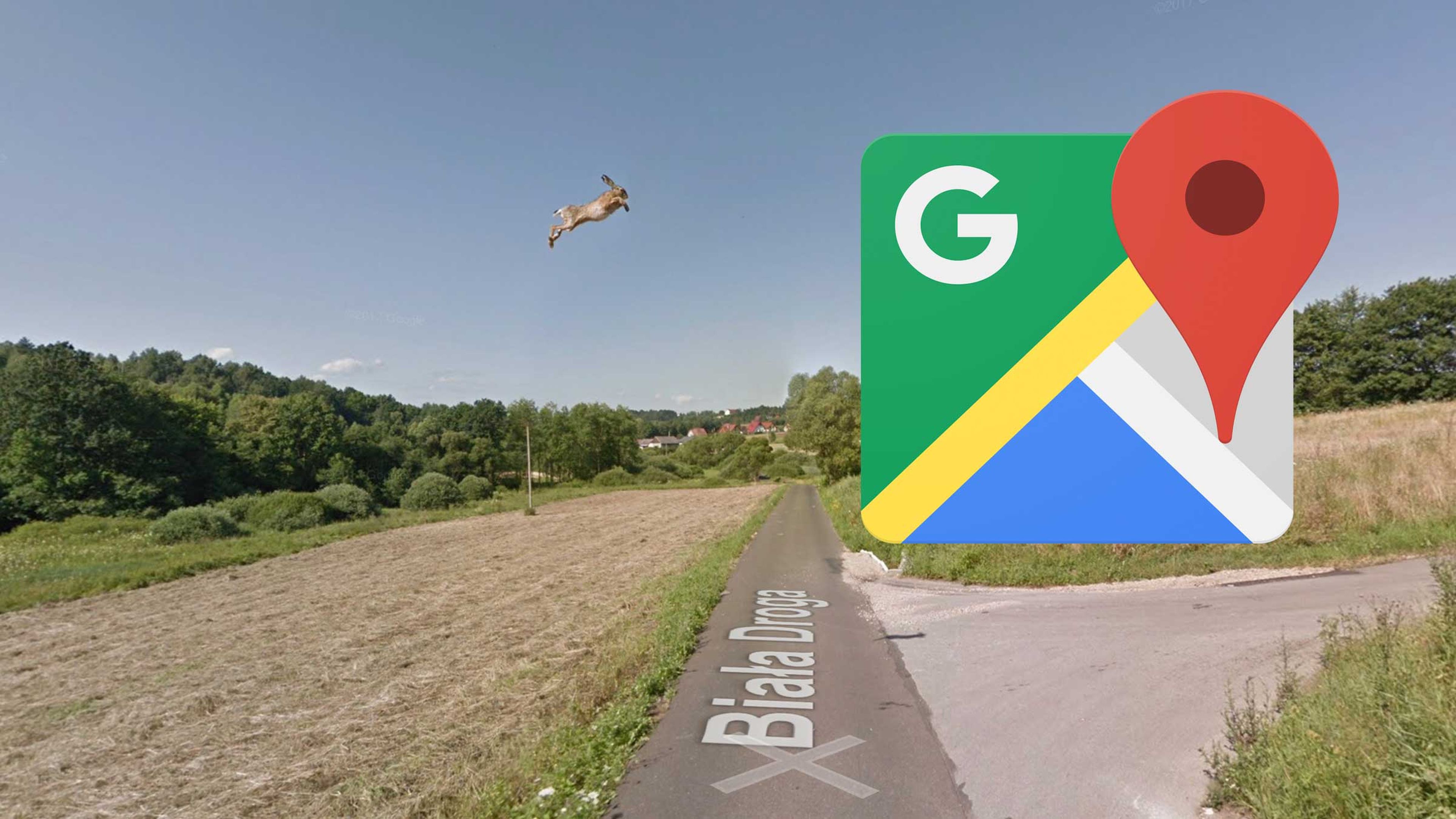 Liebre volando Google Maps