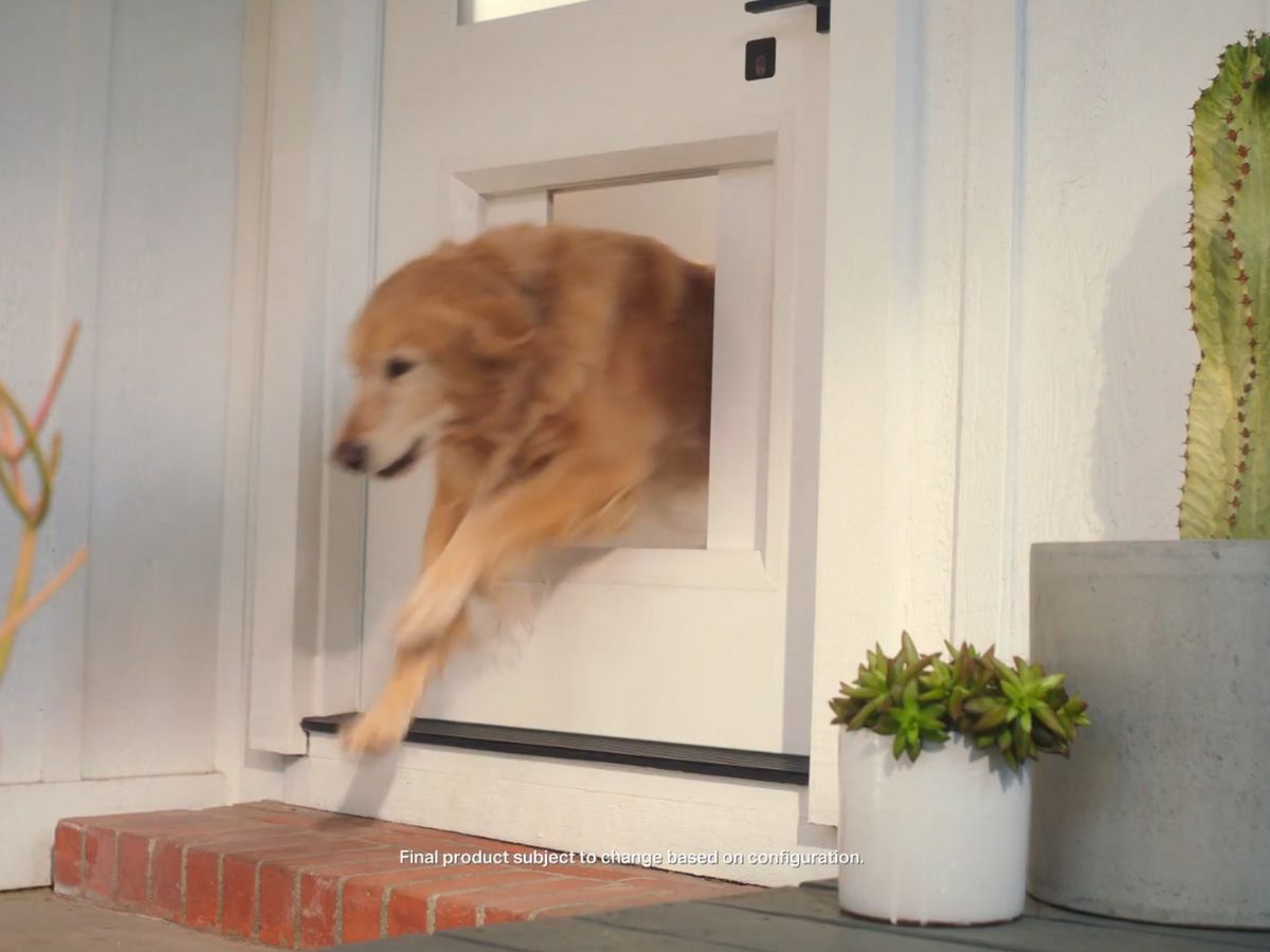 MyQ Pet Portal, la puerta inteligente para mascotas