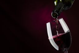 Guía y consejos para comprar una vinoteca para almacenar el vino en casa