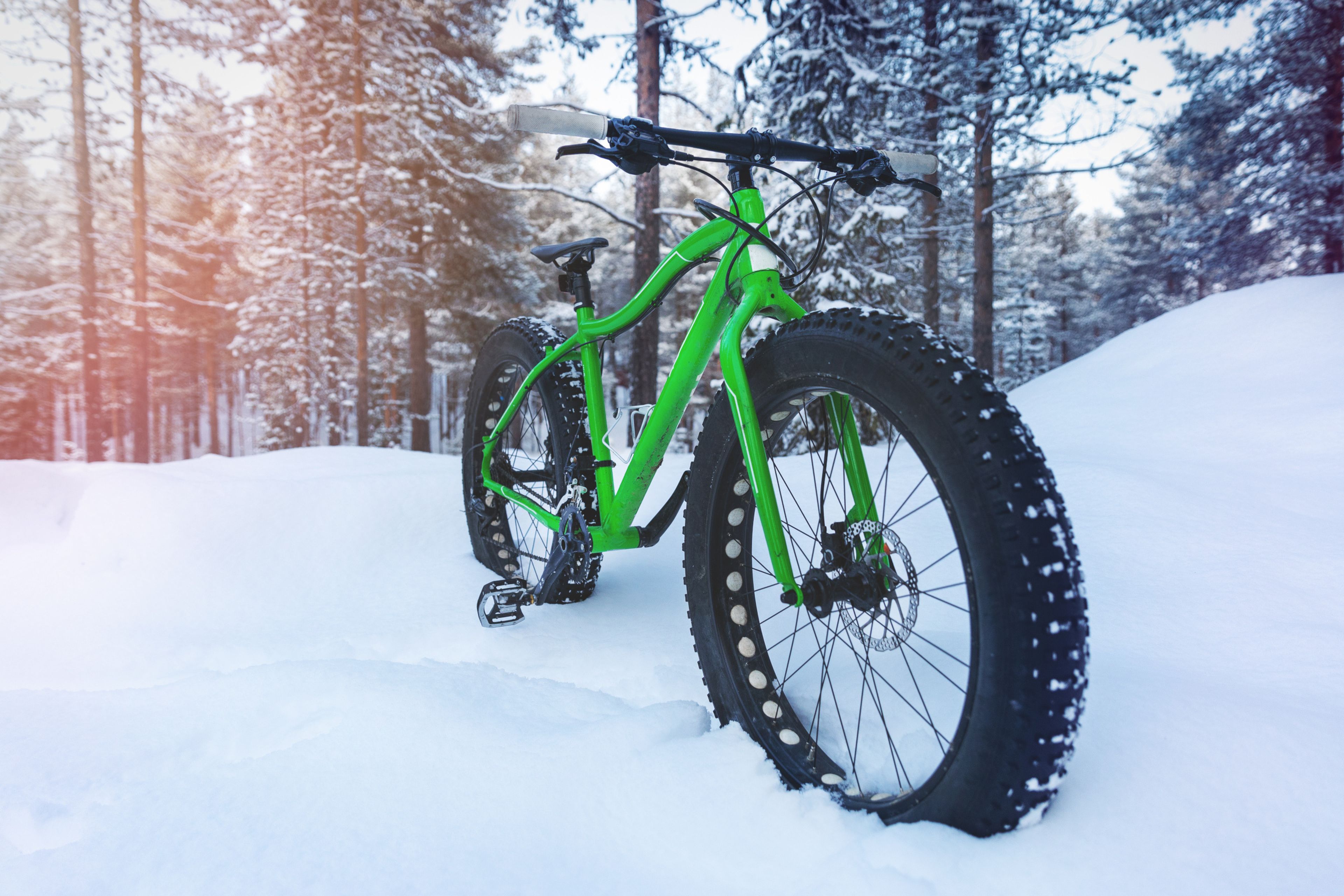 Fat Bike