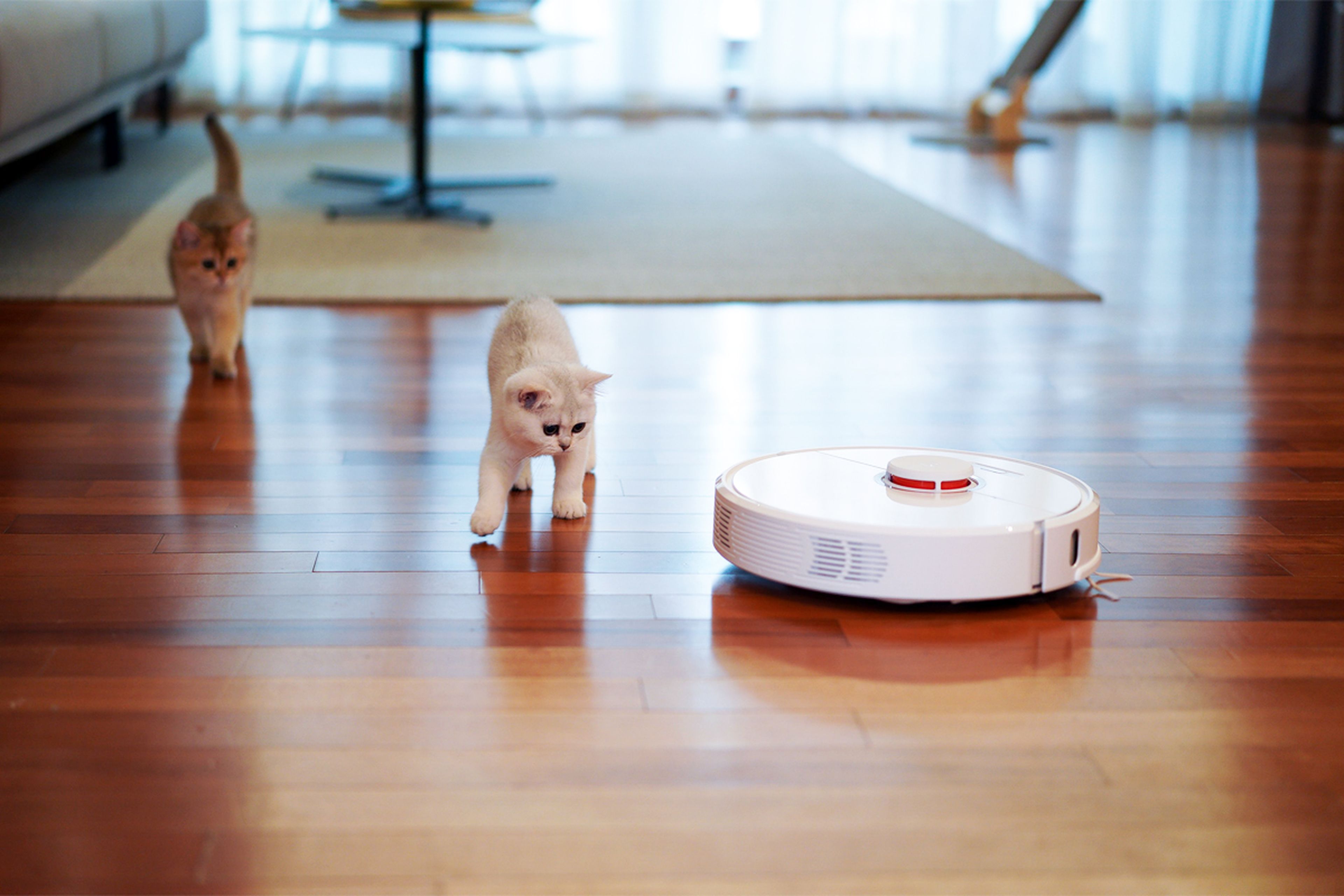 vacío Dos grados Endurecer Robots aspiradores muy potentes para casas con mascotas: estos son los  mejores | Computer Hoy