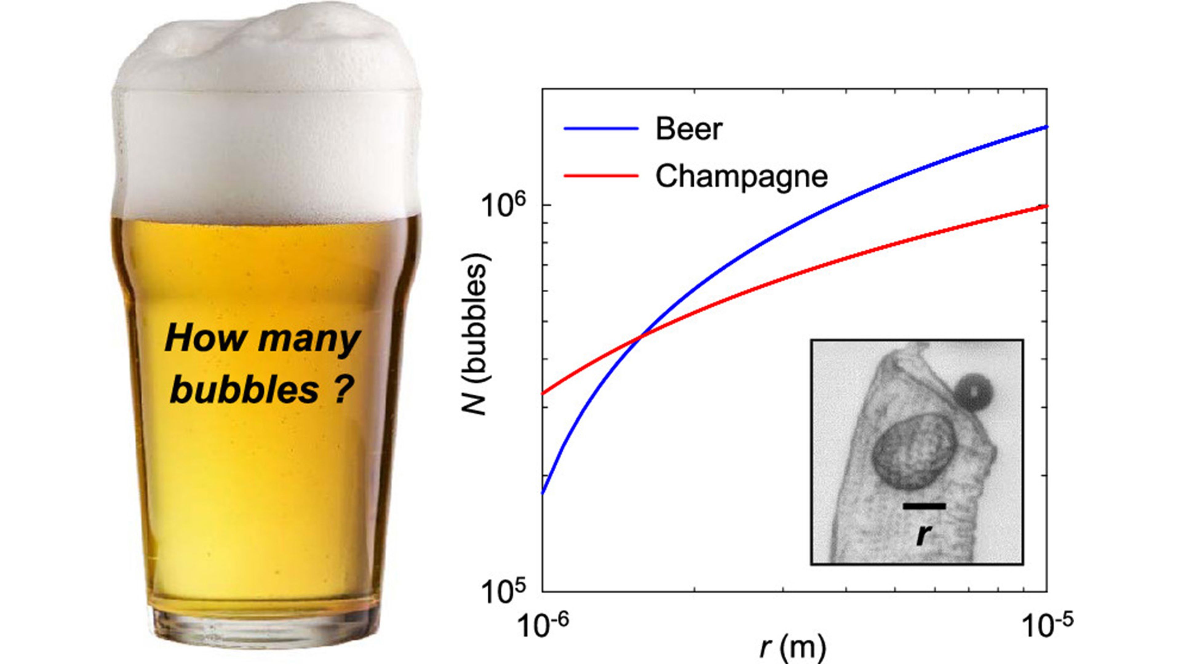 Cuántas burbujas tiene una pinta de cerveza según la ciencia