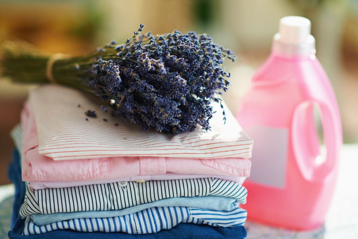 Trucos sorprendentes para eliminar el olor de la ropa sin tener que lavarla  de nuevo | Computer Hoy