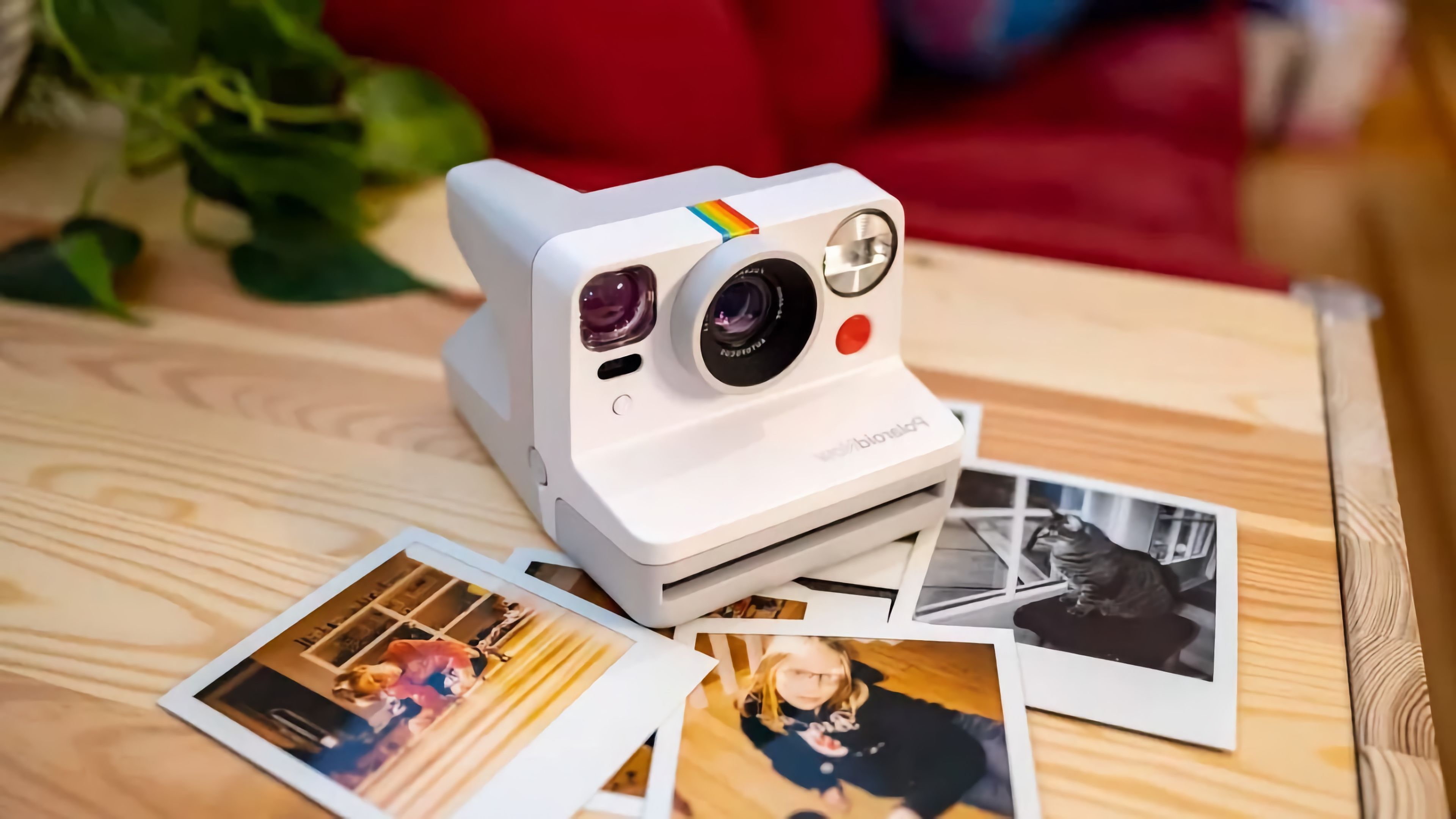 Polaroid Now