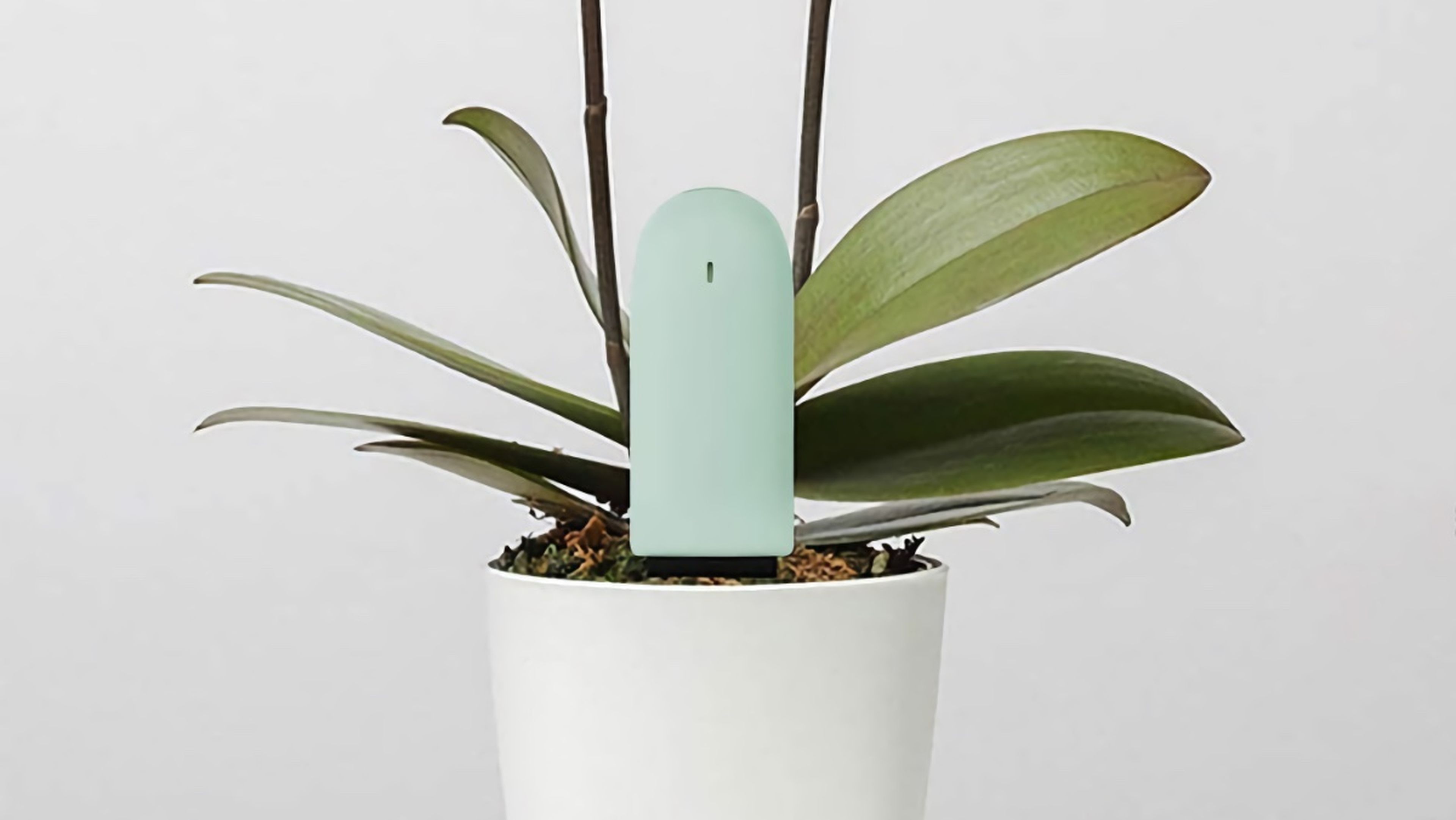 Sensor de humedad para plantas