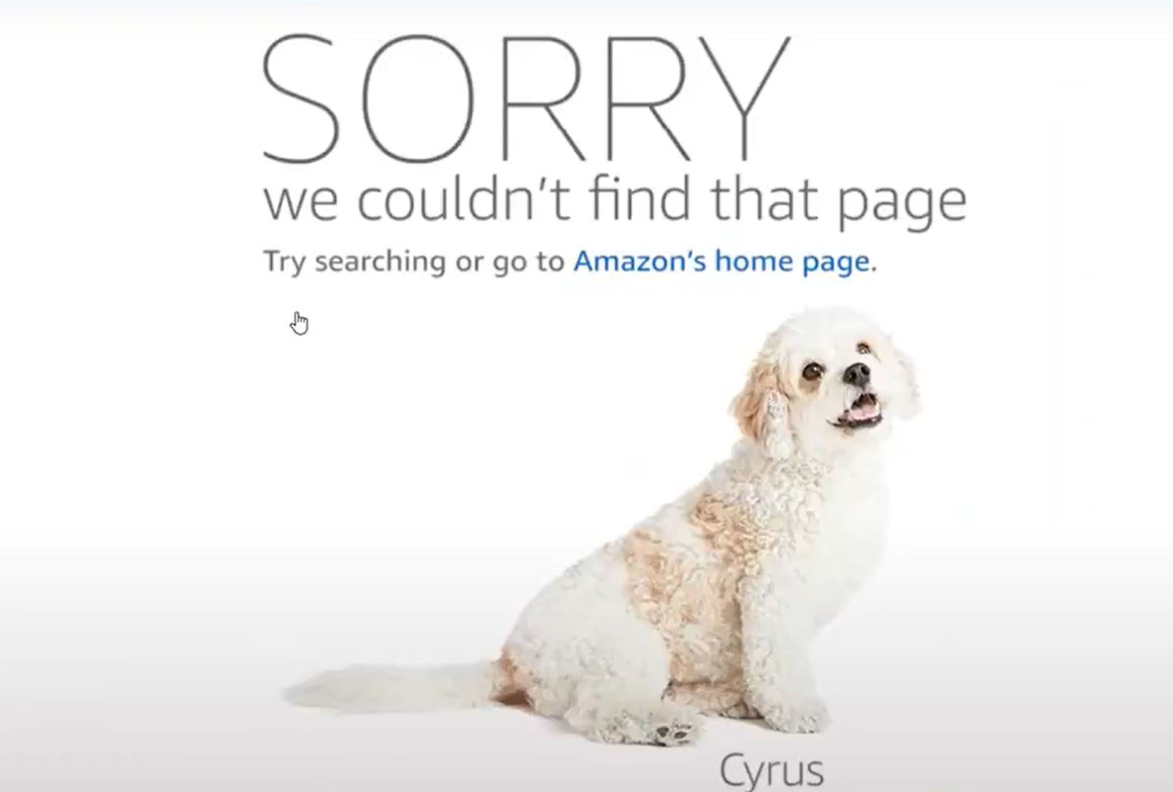 Amazon perros
