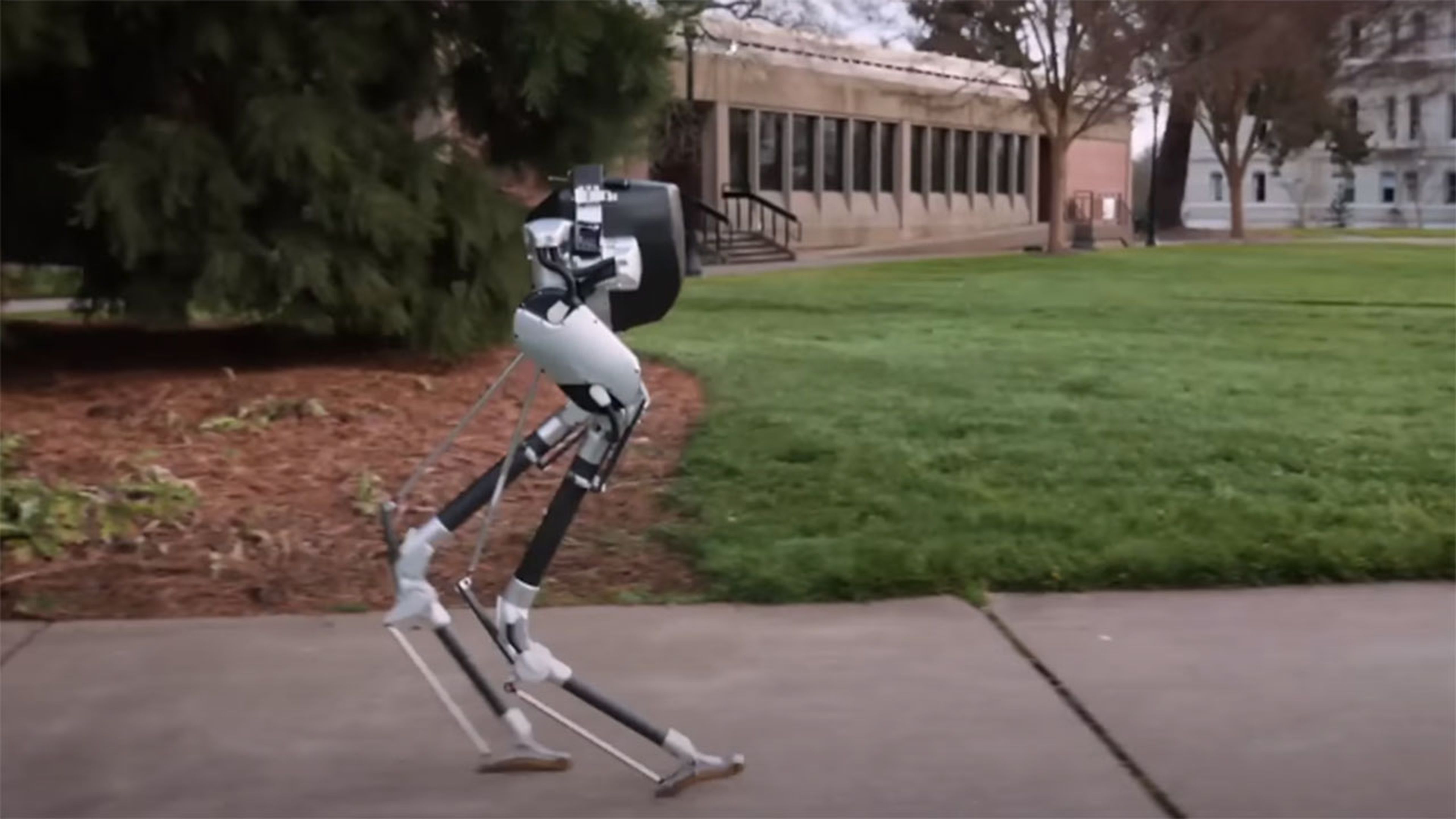 Самая главная задача при создании шагающих роботов. Робот Кэсси. Agility Robotics – Cassie. Шагающие роботы. Двуногий робот.