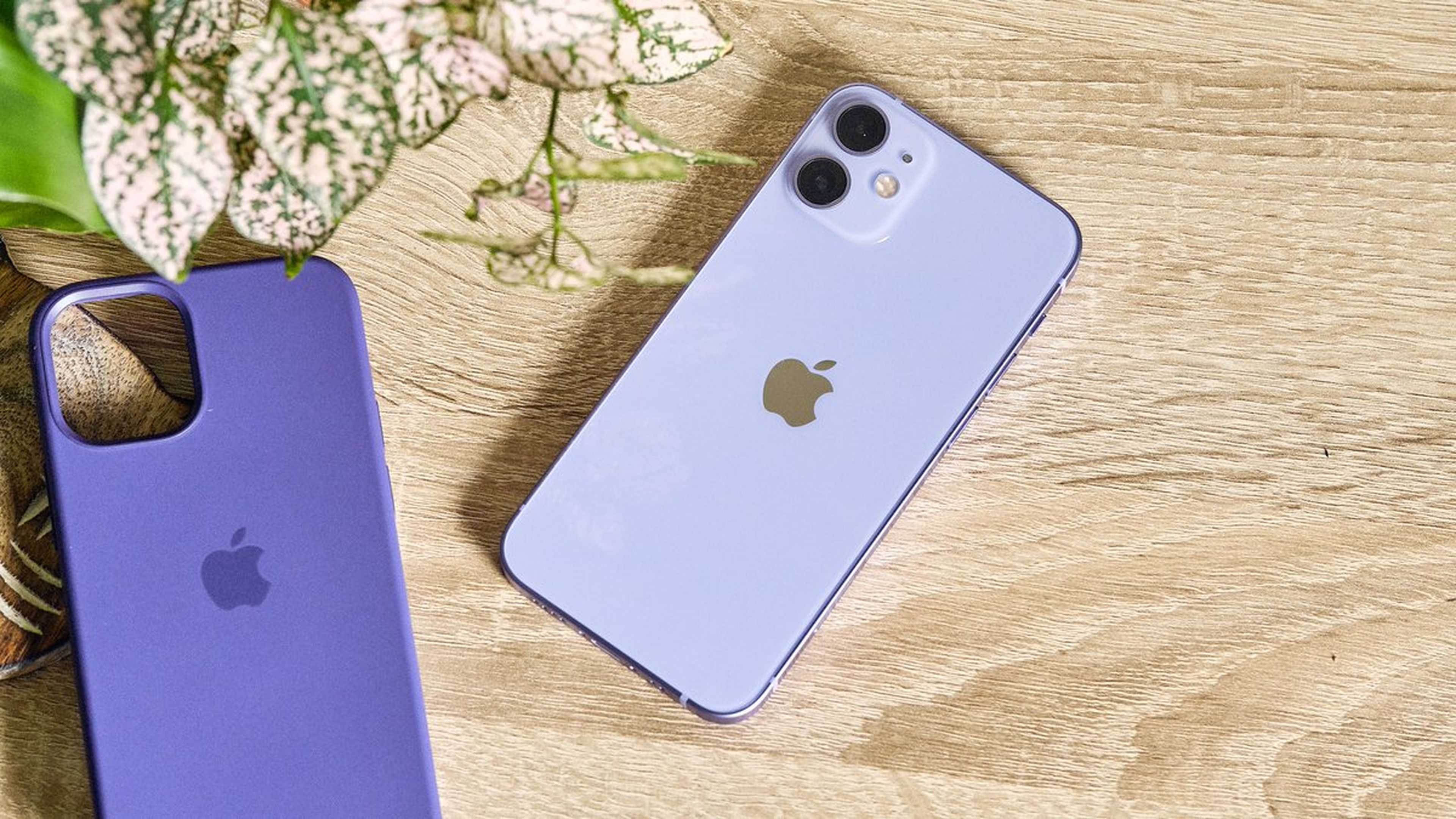 iPhone 12 purpura
