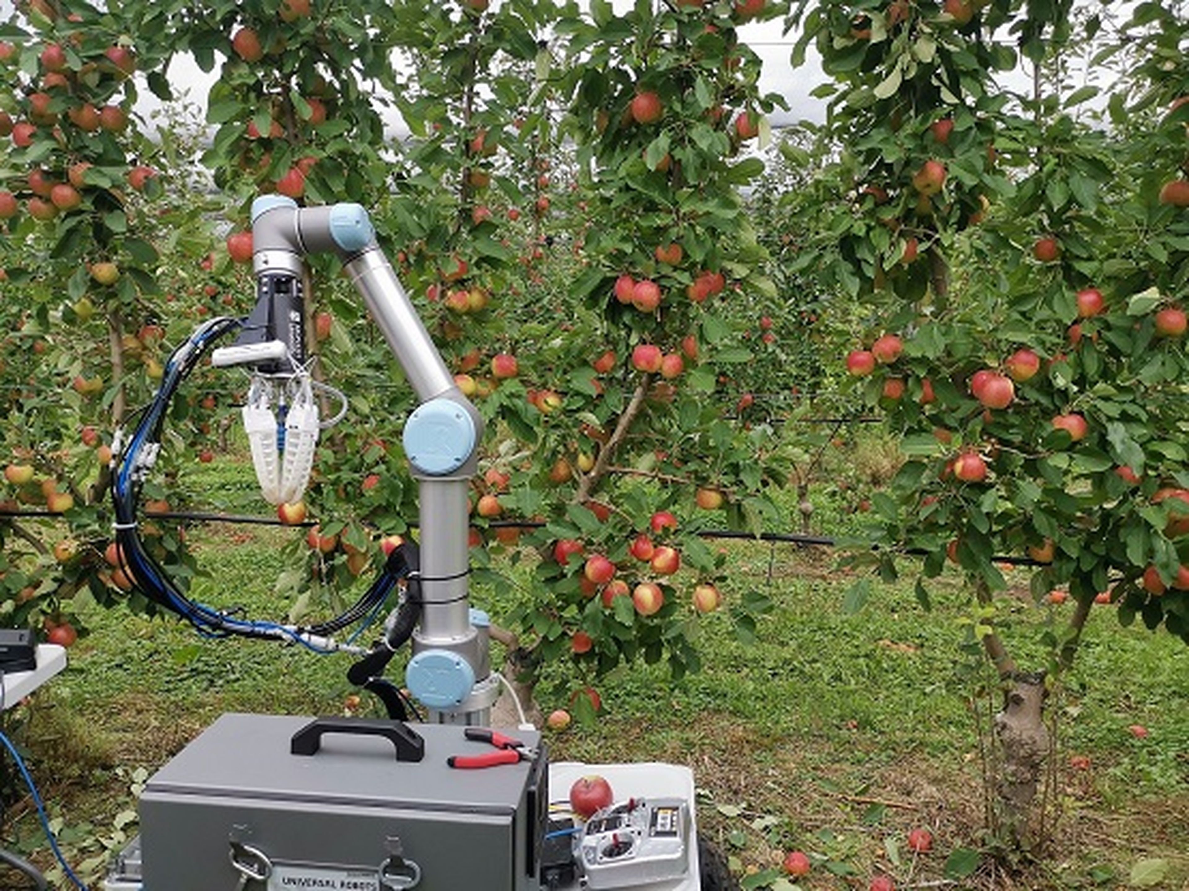 Robot agricultor