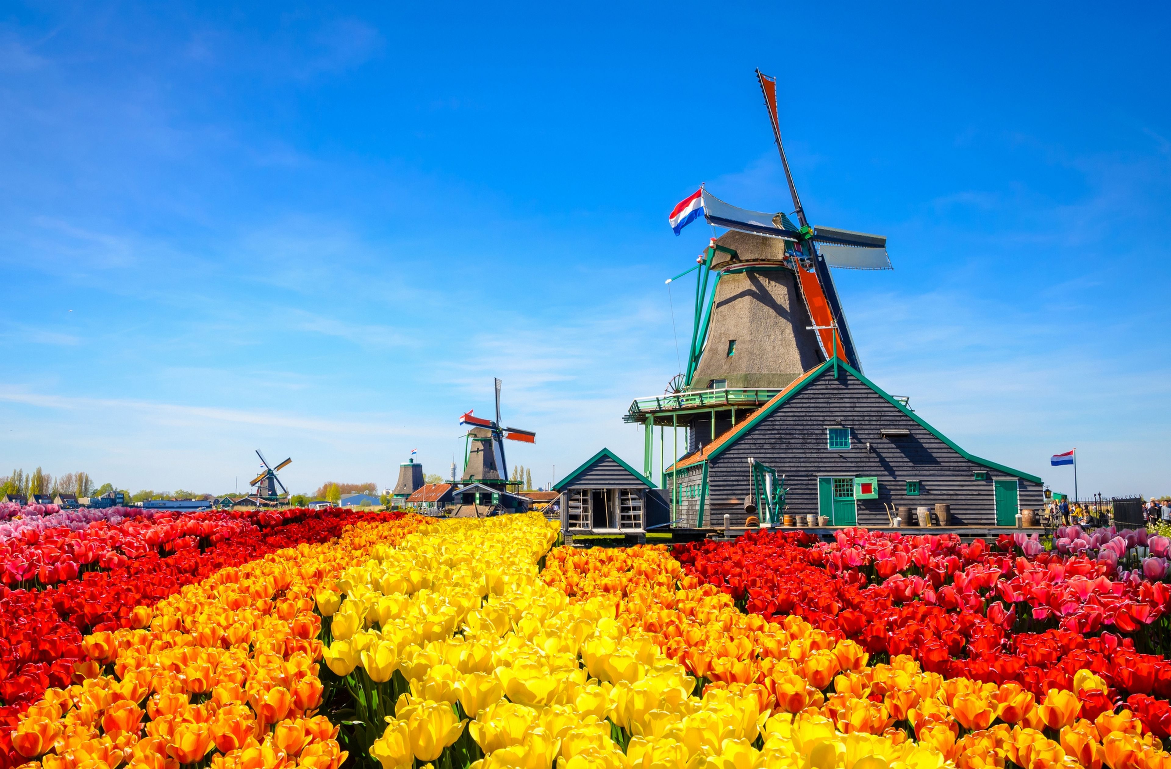 Es hora de que dejes de llamar Holanda a Países Bajos: por qué ya no se llama así