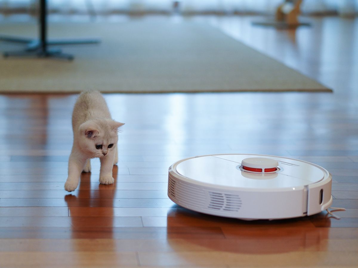 Mejores robots aspiradores para casas con perros, gatos y otras mascotas