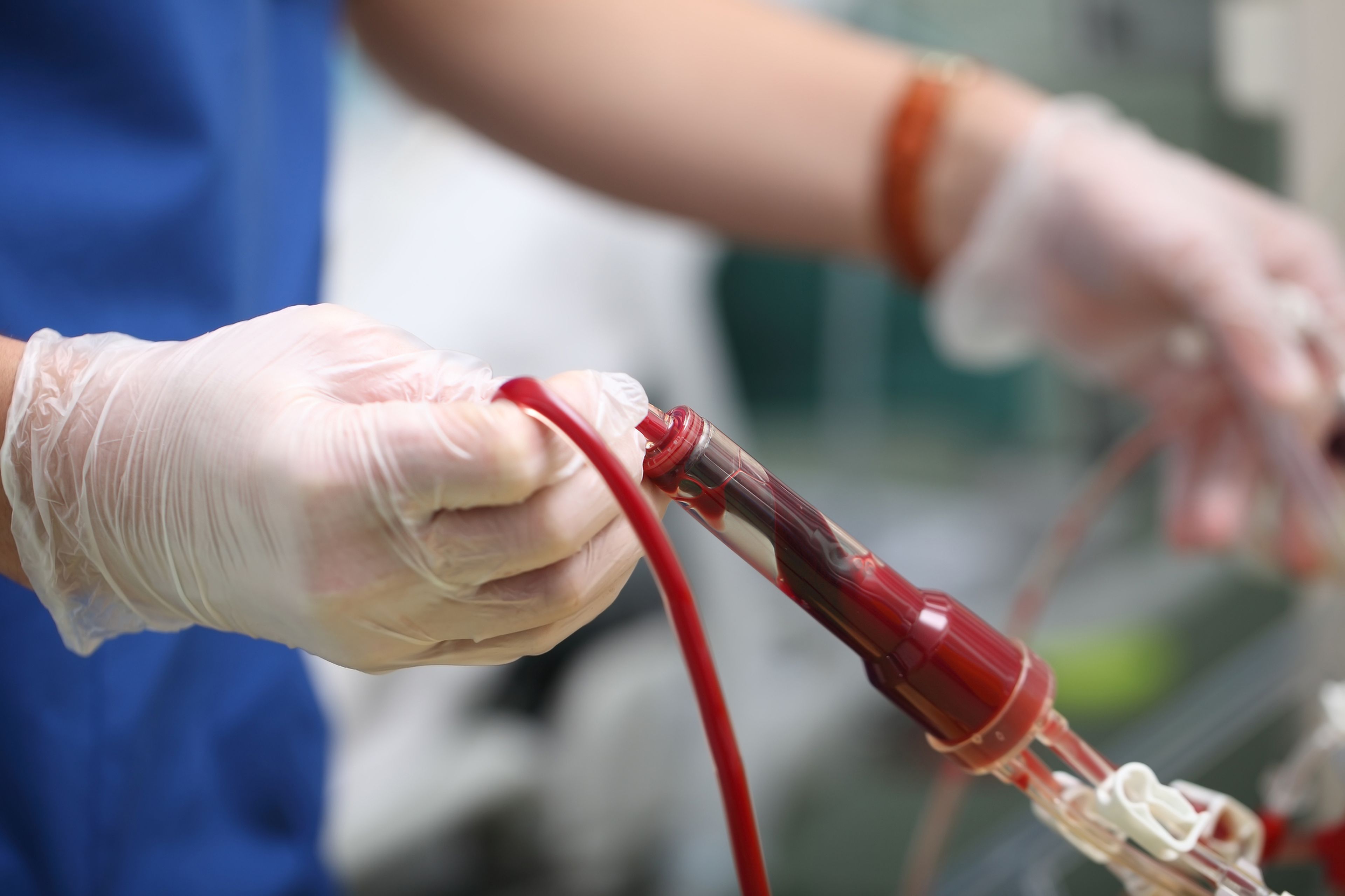 transfusion sangre