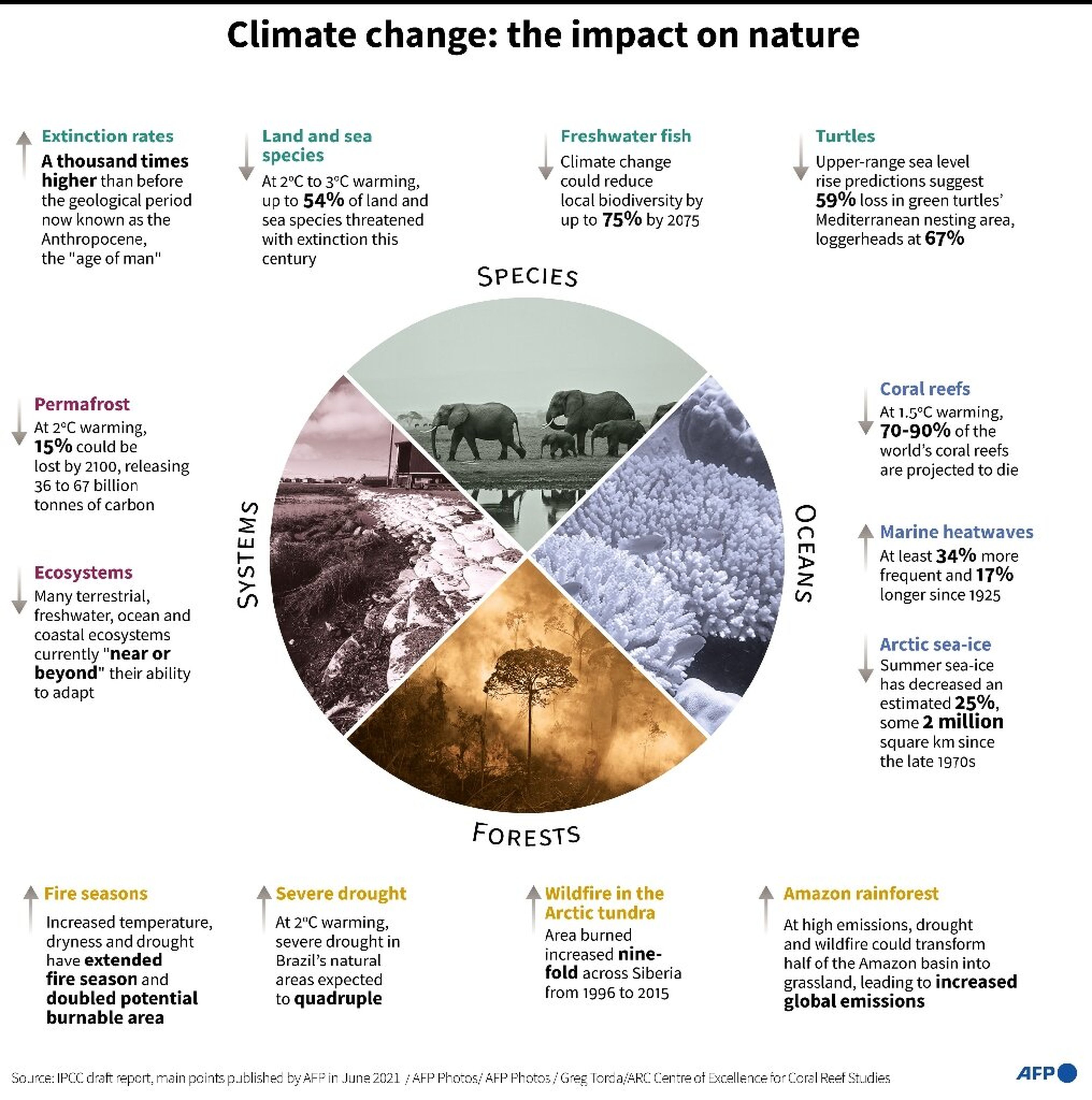 Efectos del calentamiento del planeta en la naturaleza