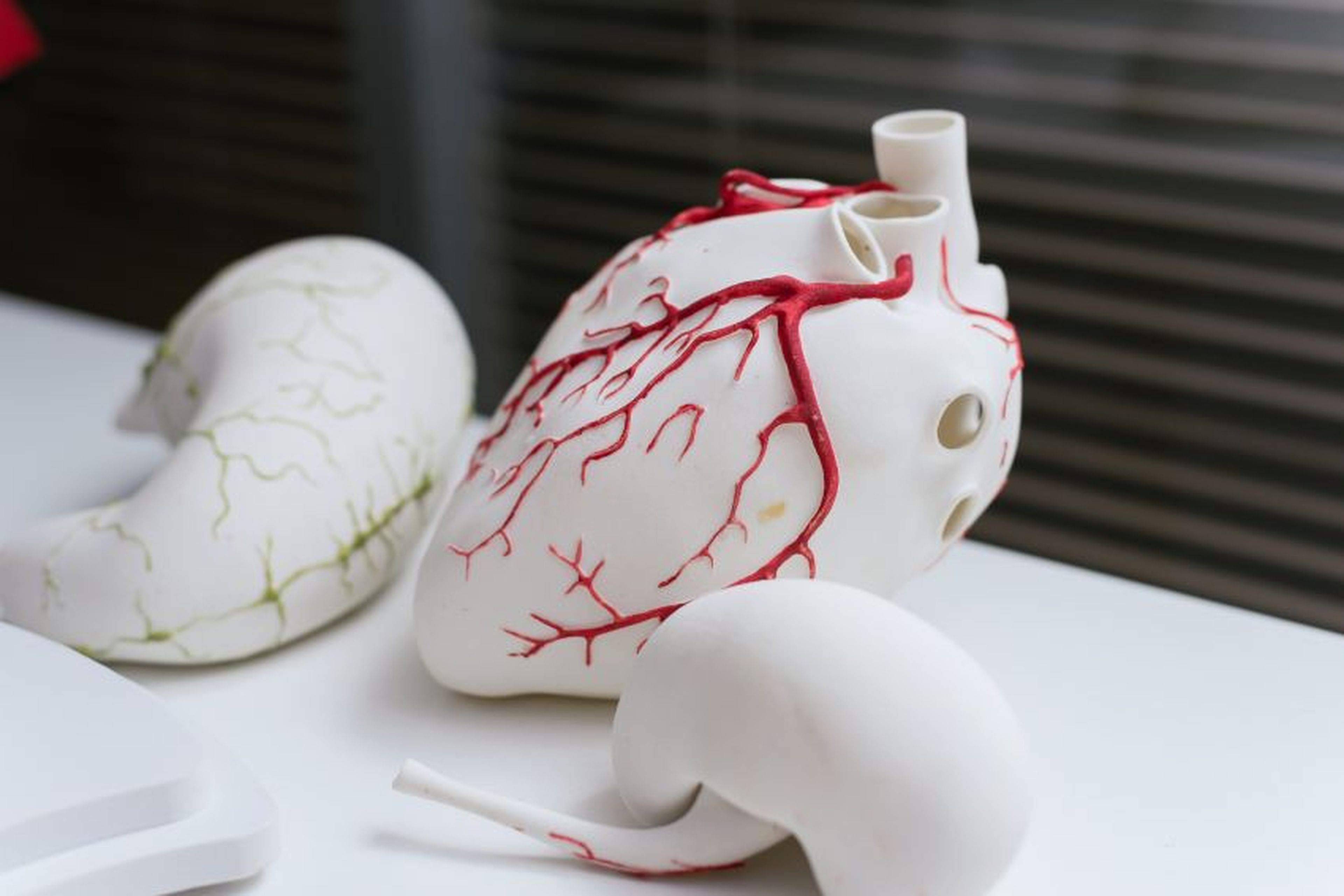 Replicas de órganos impresos en 3D