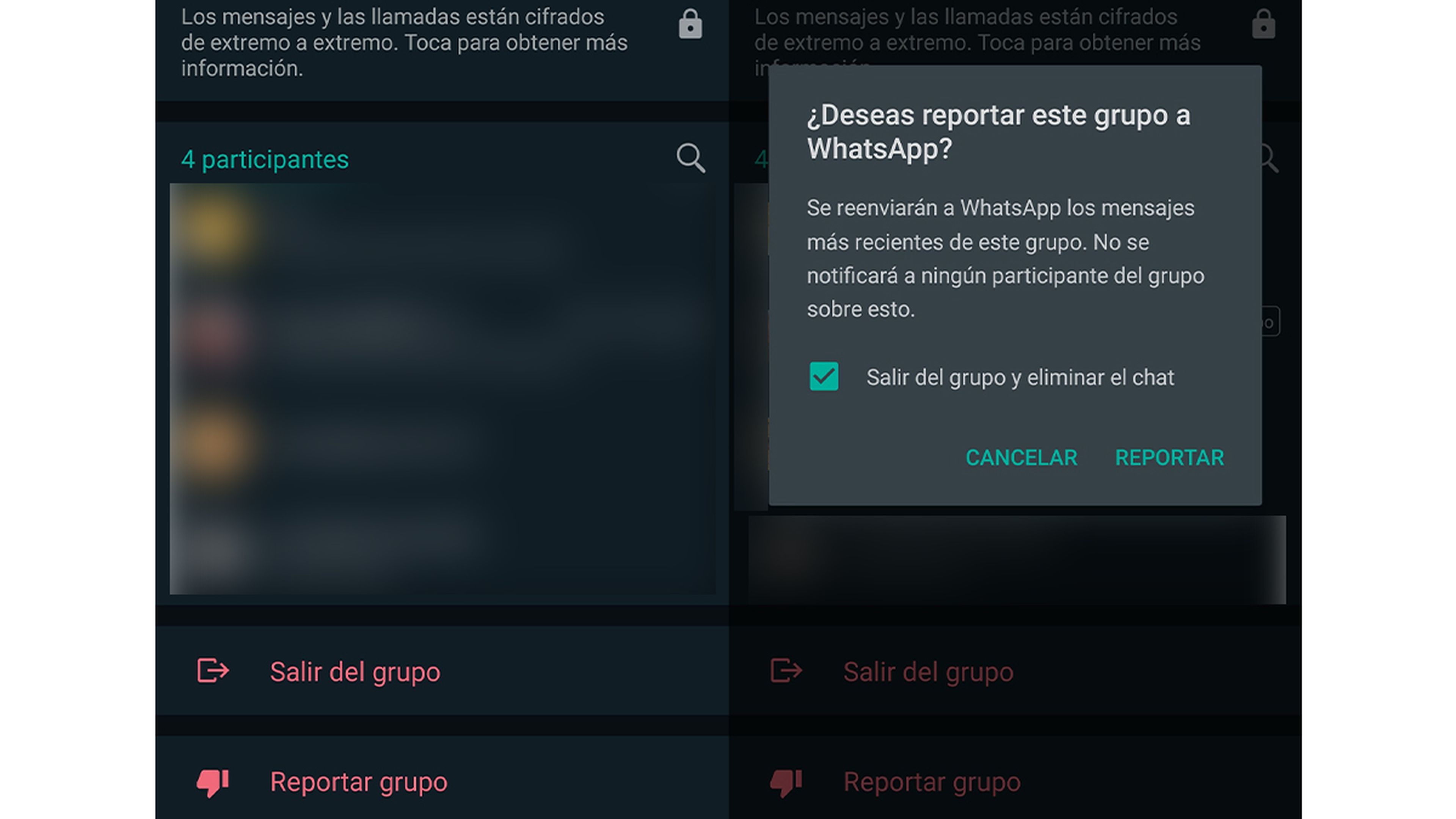 Reportar un grupo en WhatsApp