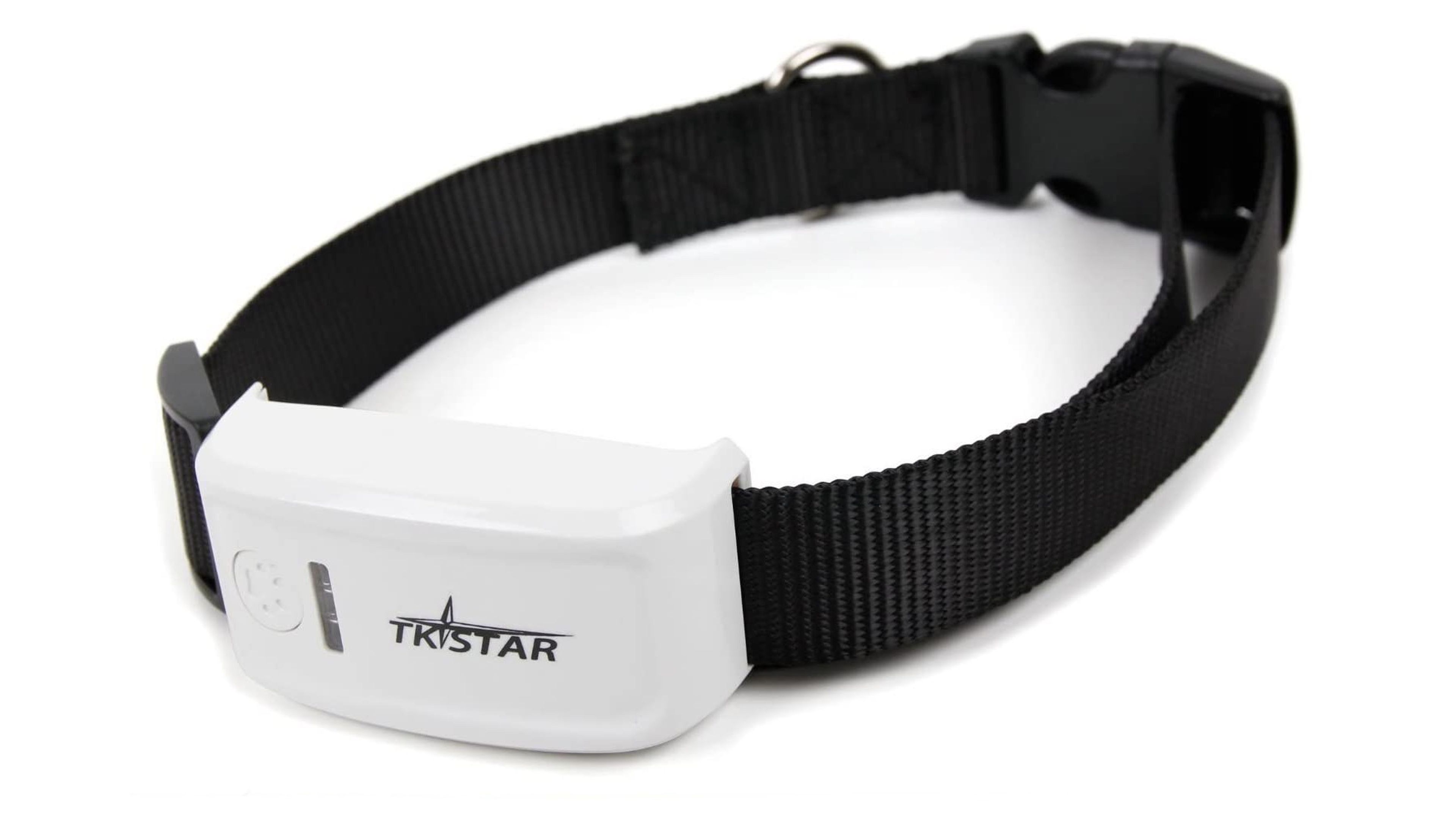 Collar GPS para perros y gatos. Descubre las ventajas - Electropolis