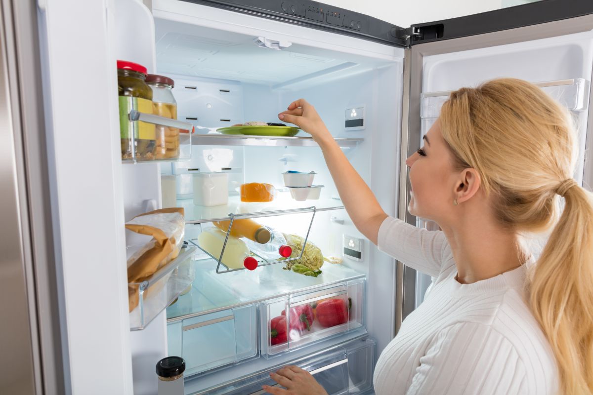 Cuáles son los frigoríficos con el refrigerador más grande