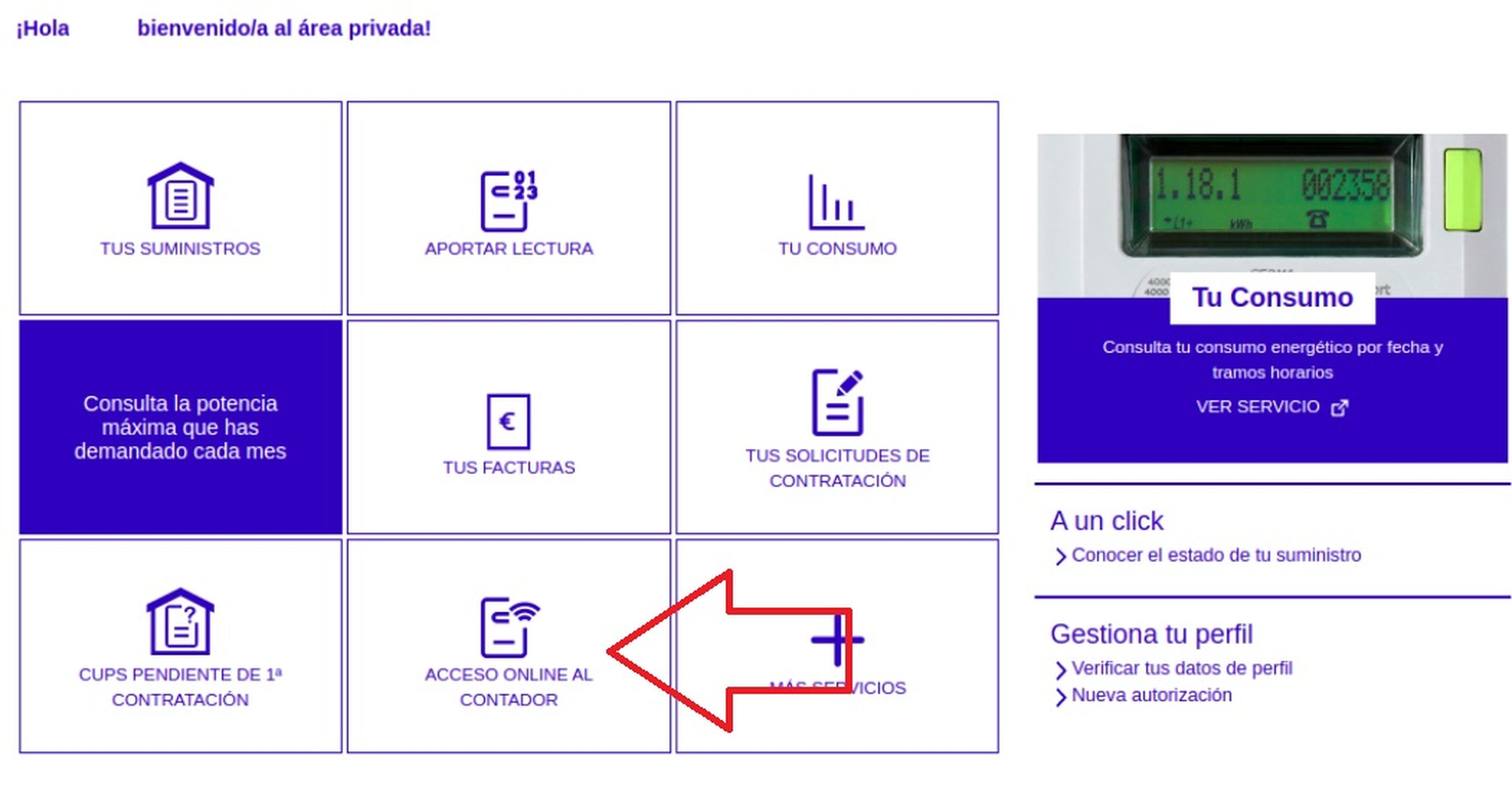 Acceso online del contador de Iberdrola