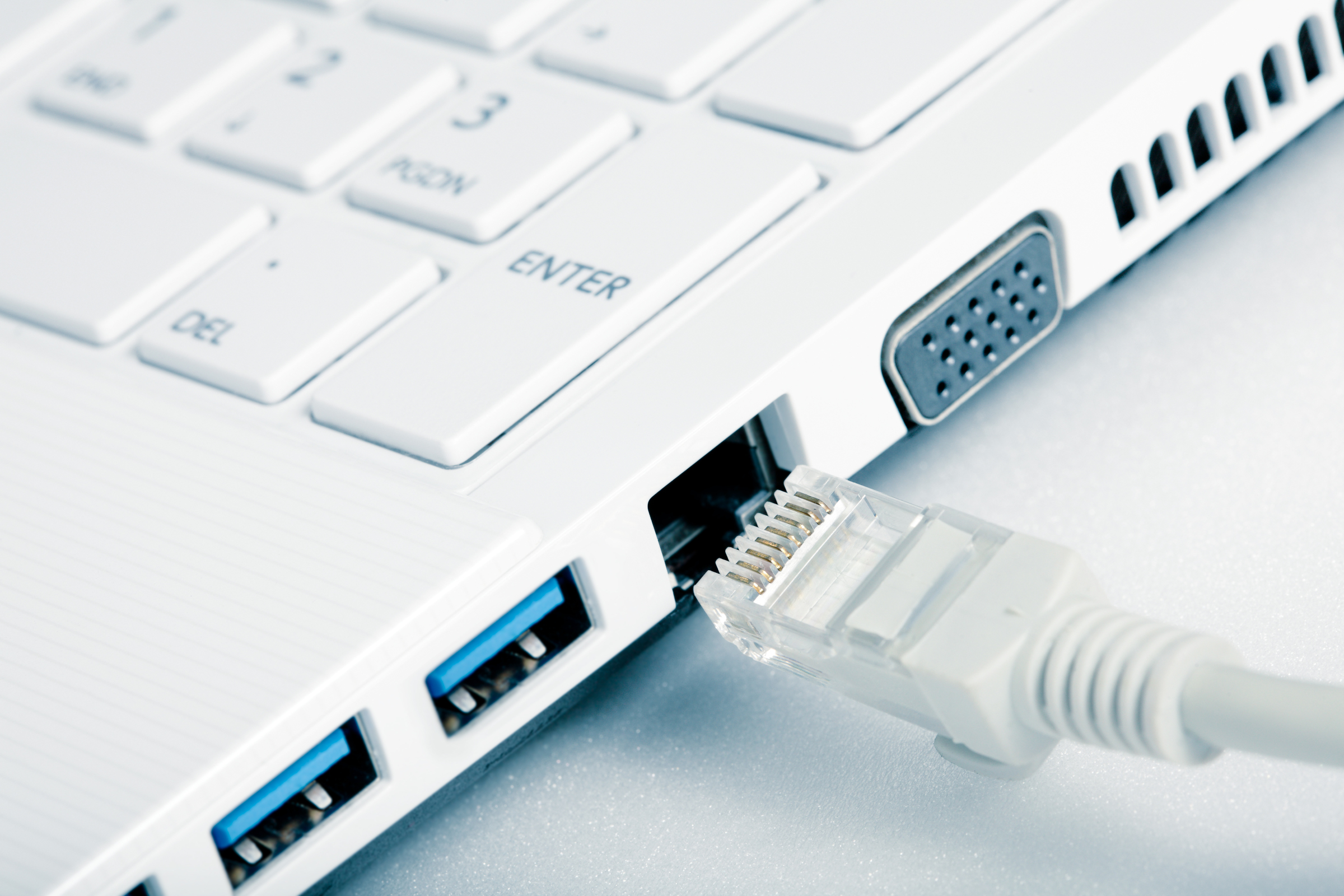 Aguanieve capitalismo Joven Cómo elegir el mejor cable de Ethernet para tu router doméstico | Computer  Hoy