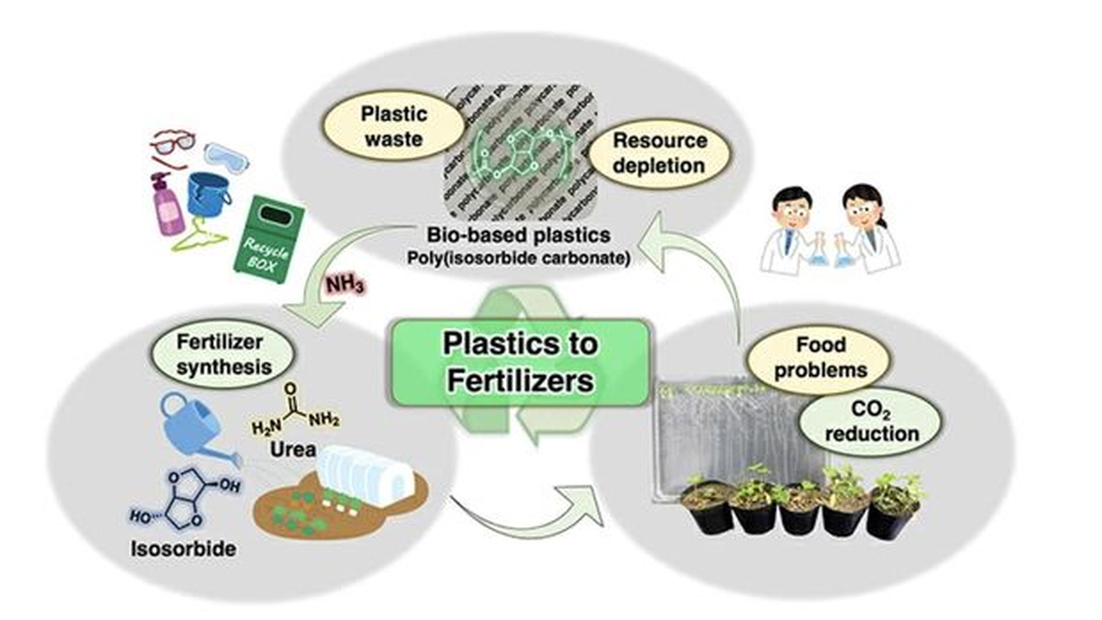 Investigadores logran convertir bioplásticos en fertilizantes