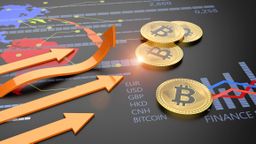 Cryptocurrencies vs Stocks: differences, drawbacks and which is the best option for your money