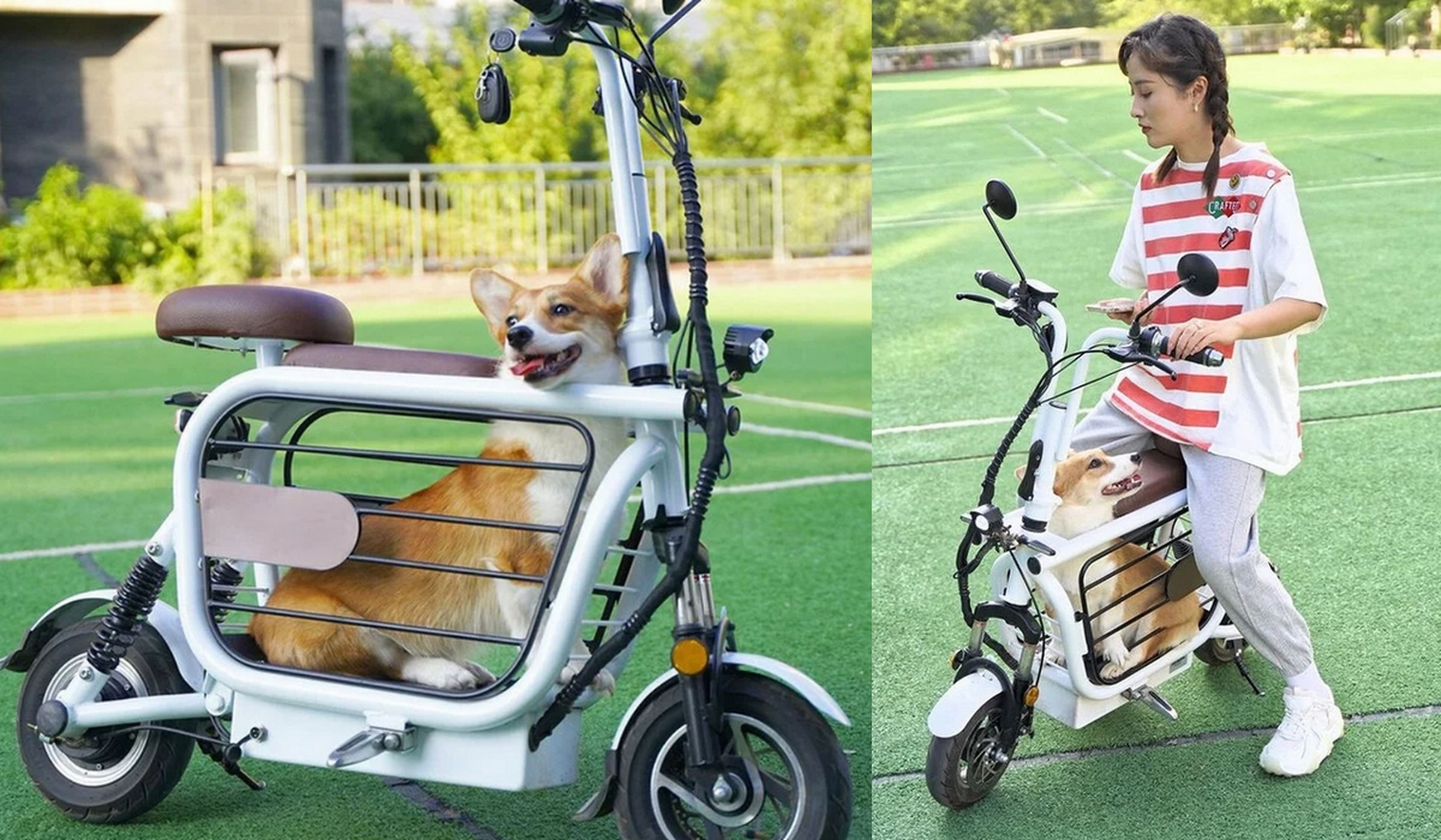 Mopet, la moto eléctrica para llevar a tu mascota de paseo