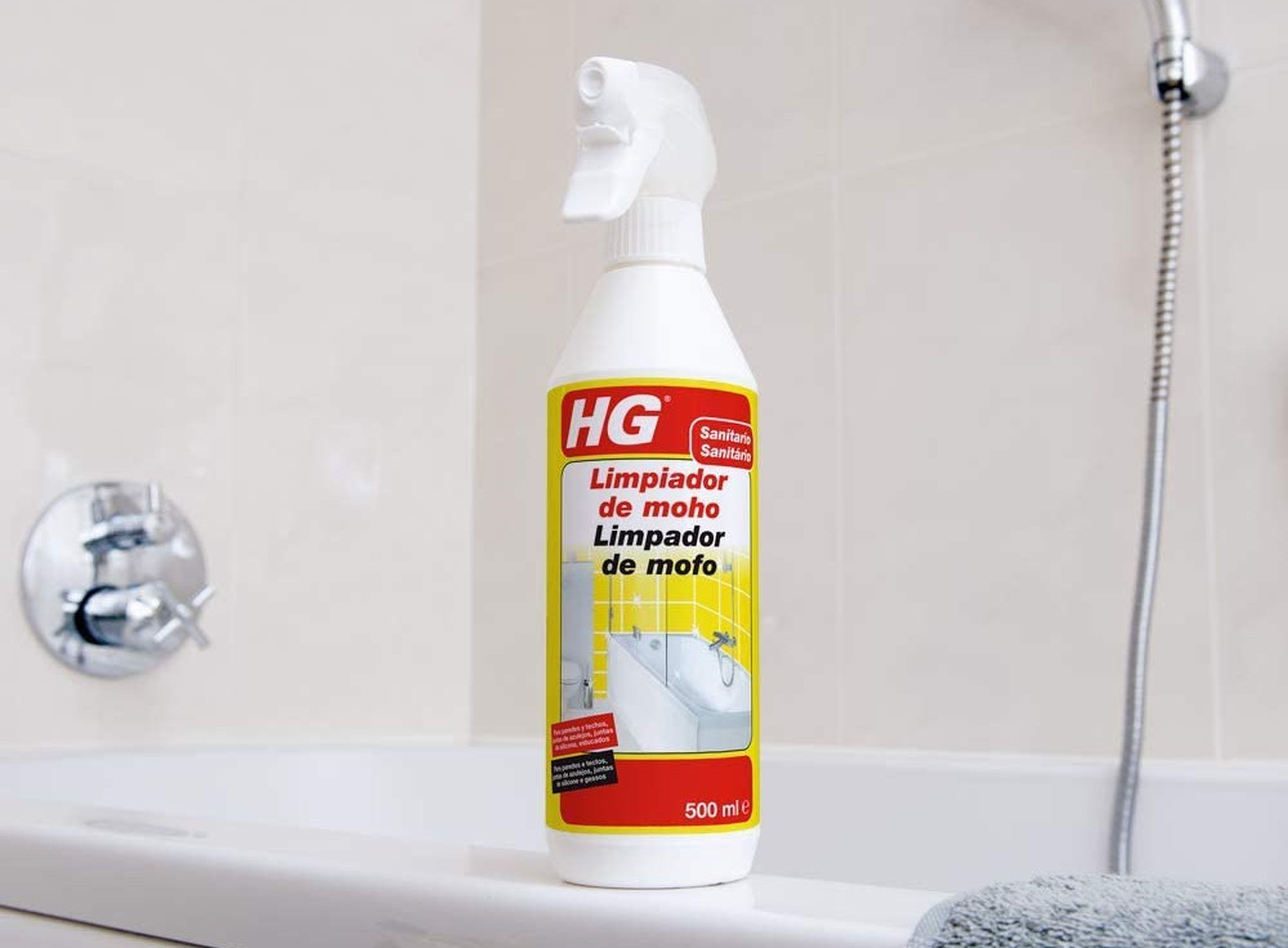 Spray antimoho H&G