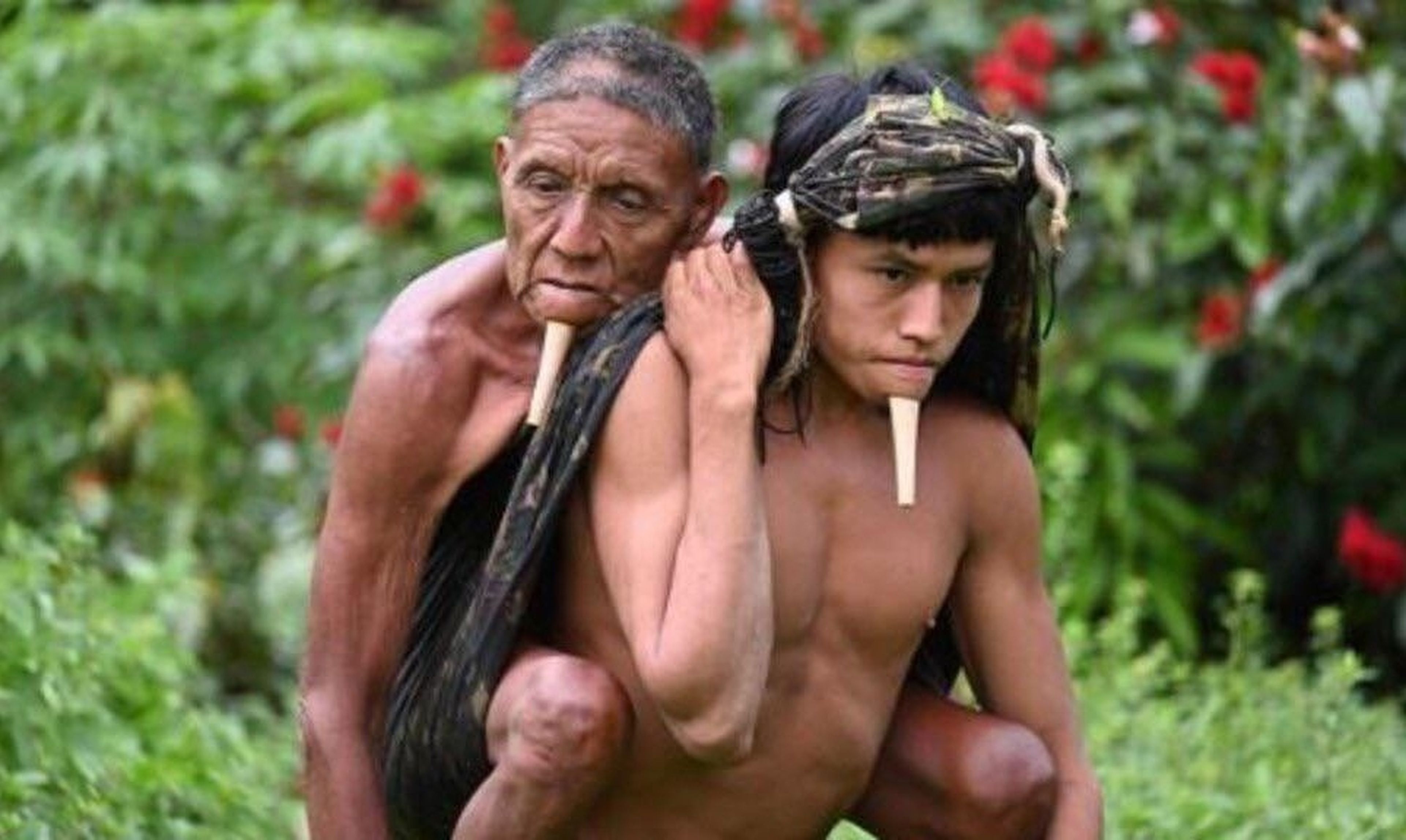 La conmovedora historia de Tawu, de la tribu de los Zo'é, que cargó con su padre 6 horas en plena selva, para vacunarlo contra el Covid