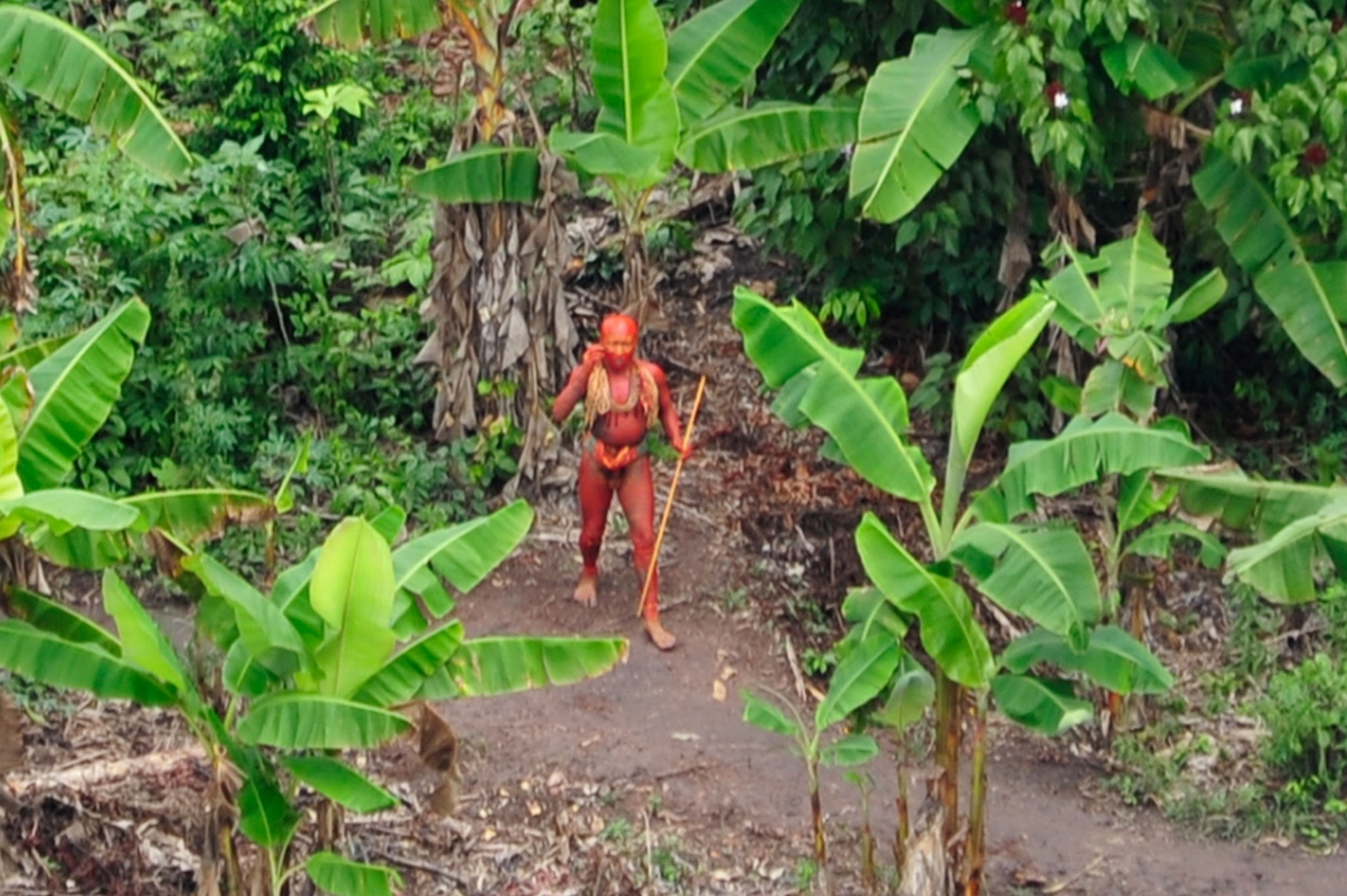 Descubren una nueva tribu de no contactados en el Amazonas: así actúan las autoridades