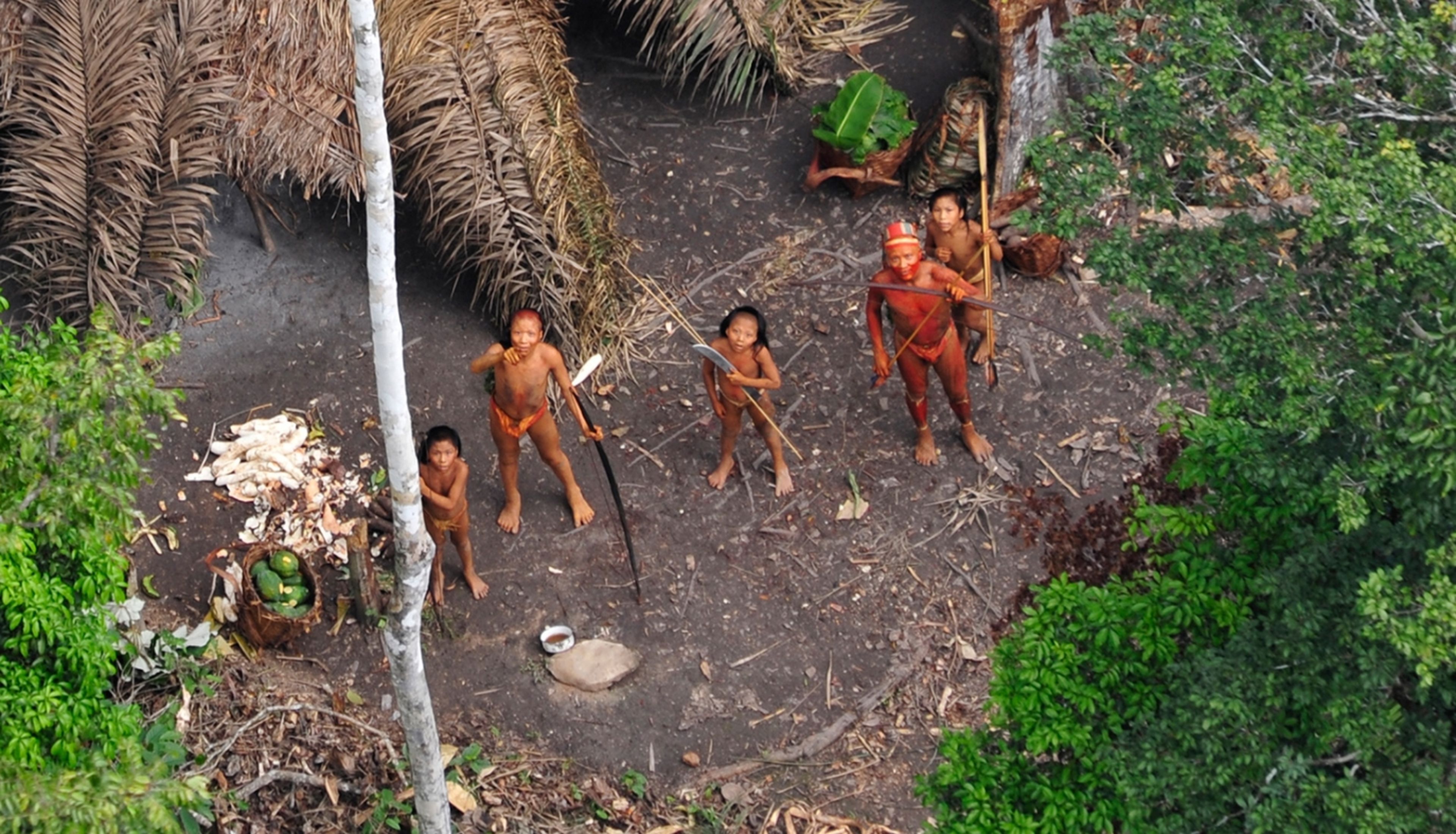 Descubren una nueva tribu de no contactados en el Amazonas, y corre un gran peligro: así actúan las autoridades