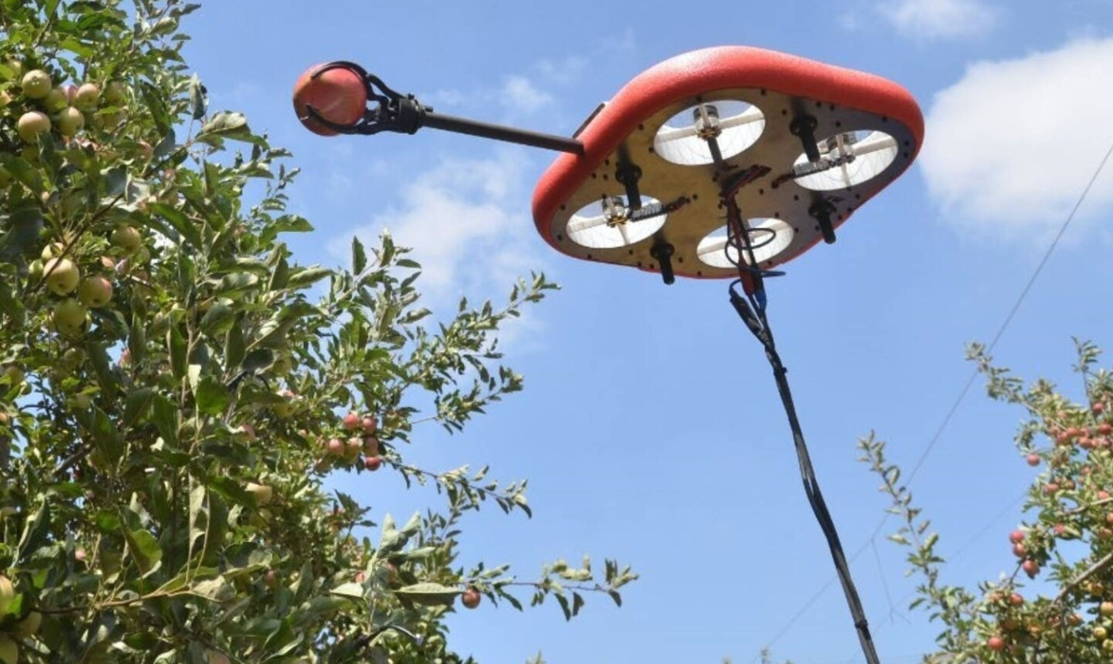 Los drones autónomos que recogen fruta al vuelo