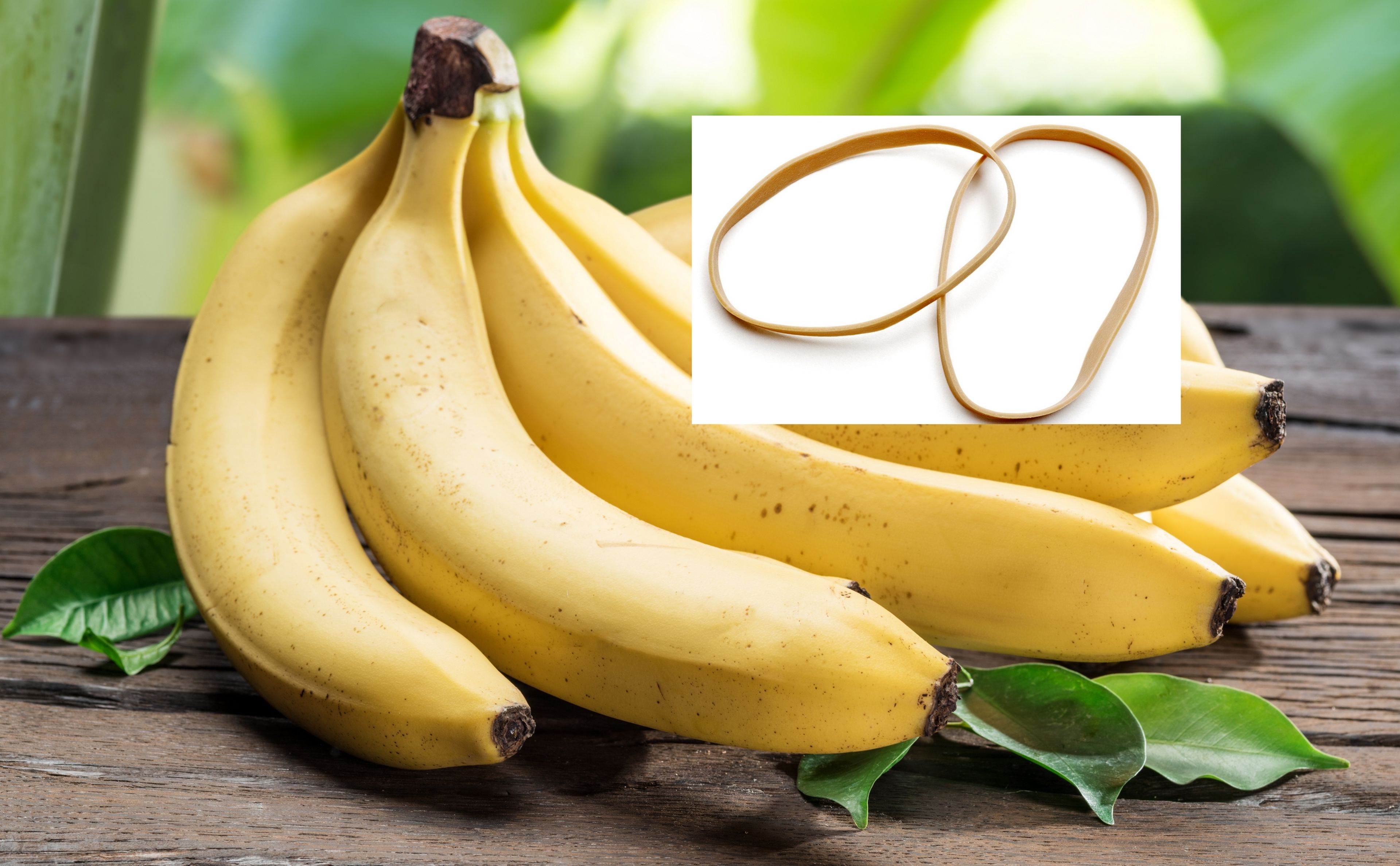 Para este hack genial que consigue que los plátanos tarden más tiempo en estropearse, necesitas una goma