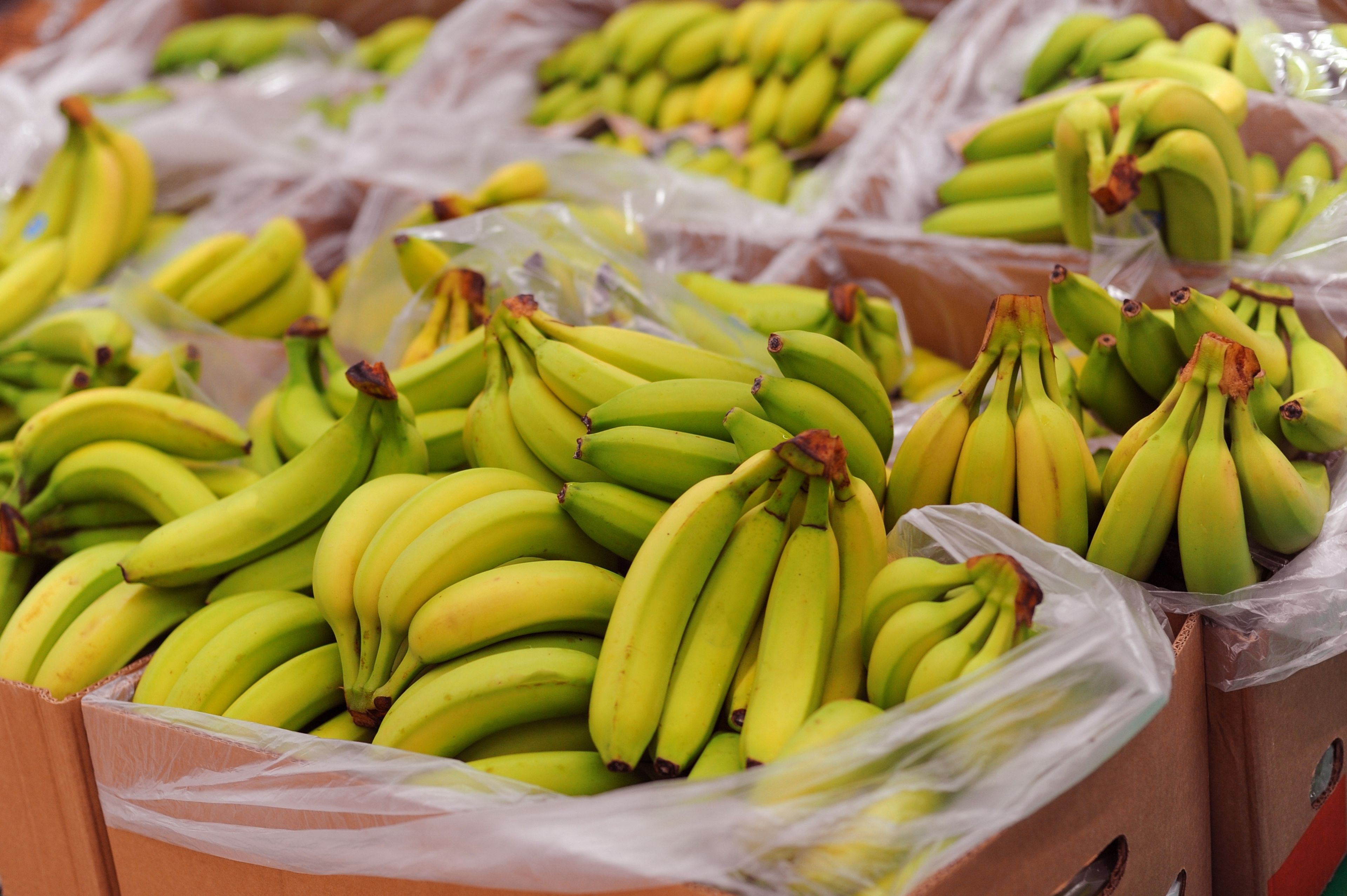 En qué se diferencian los plátanos de las bananas, ¿cuál es más nutritivo?