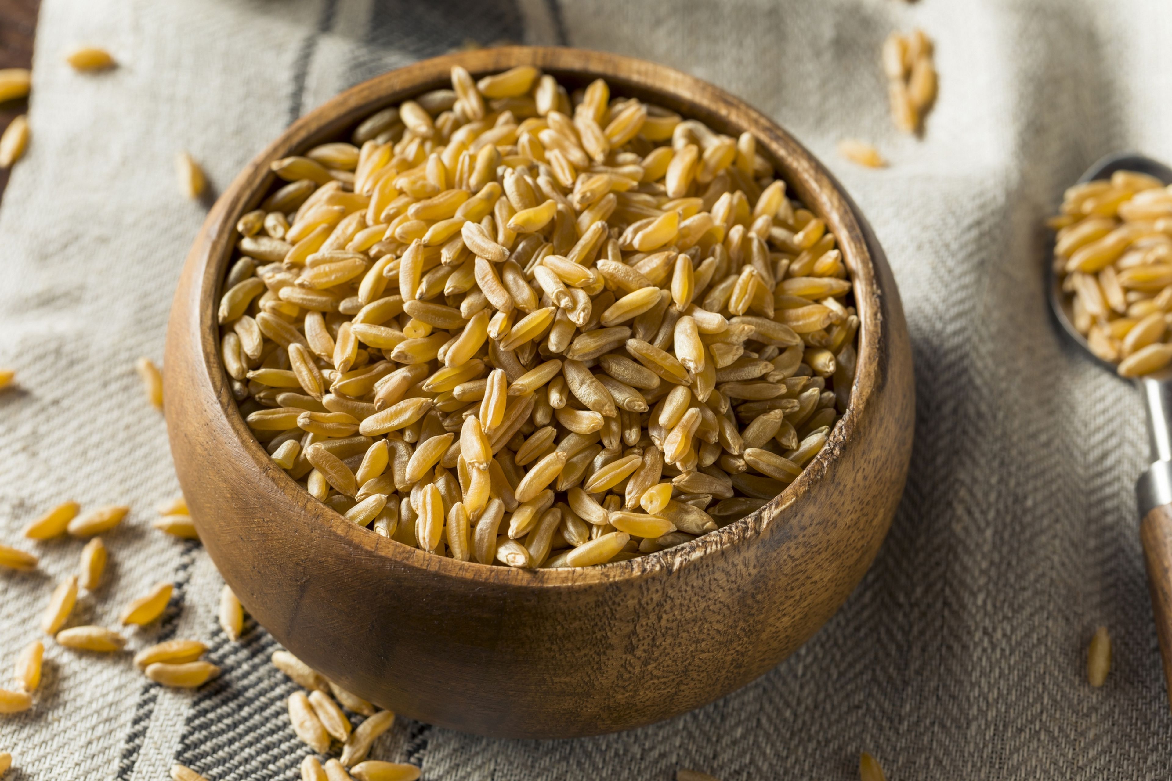 Qué es el arroz Kamut, y por qué te interesa introducirlo en tu dieta