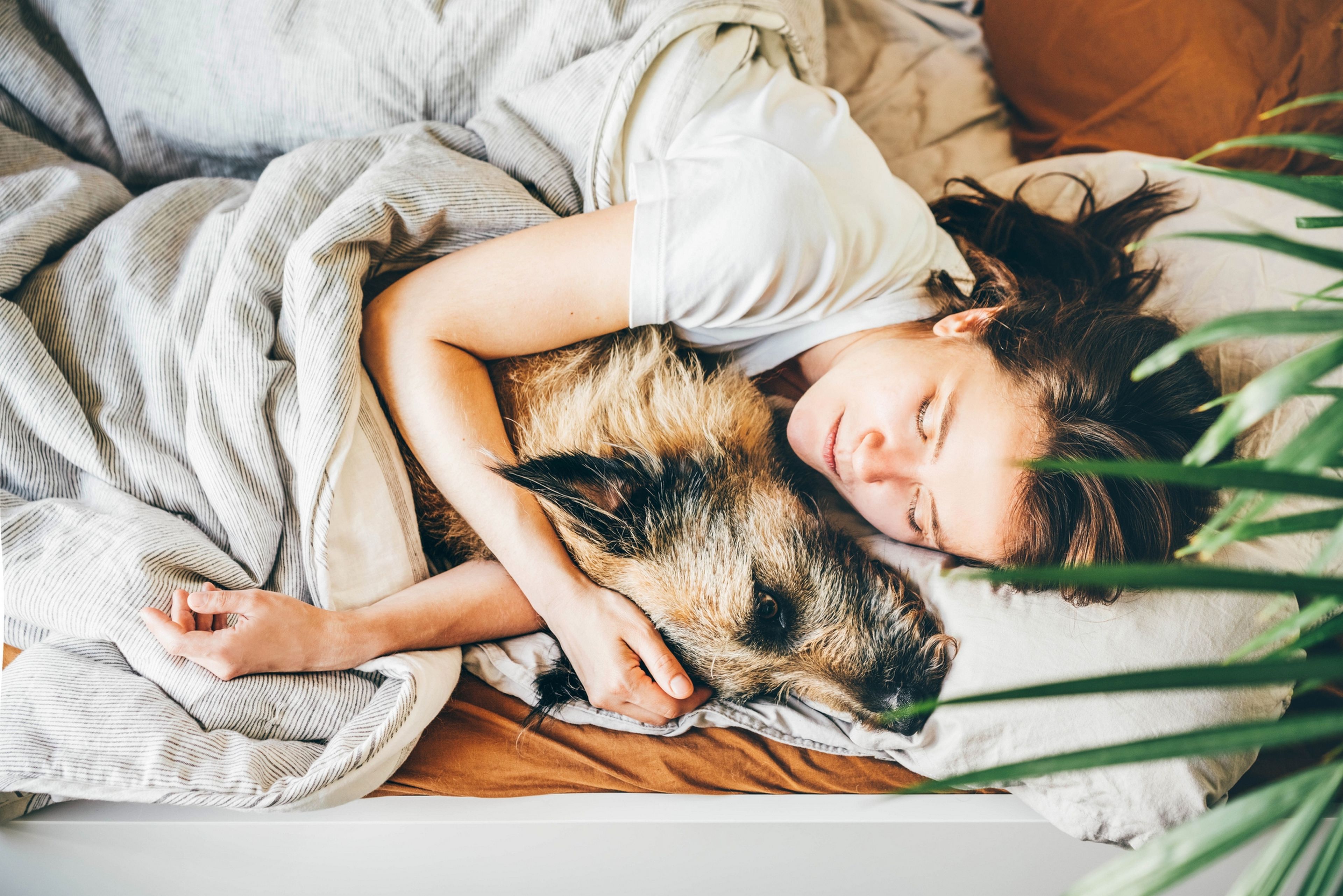 Un estudio demuestra que las mujeres duermen mejor con su perro que con su pareja