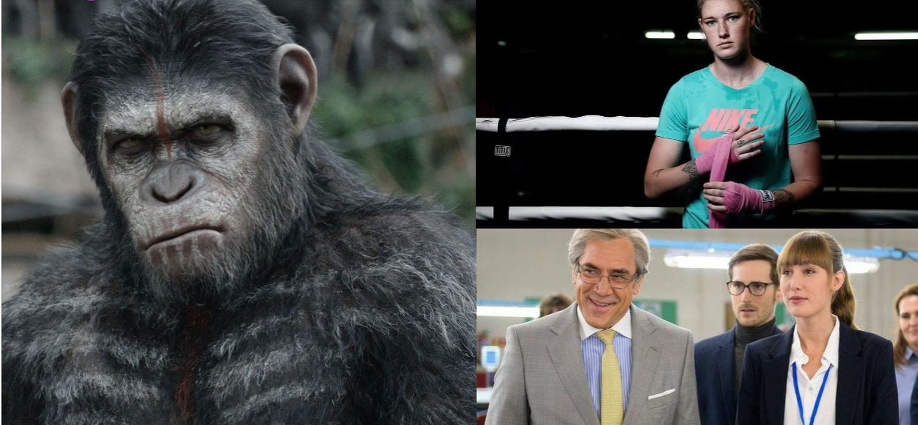 Qué películas ver este fin de semana en Movistar plus+, Prime Video y Disney+: Bardem, deporte femenino y toda la saga de los simios