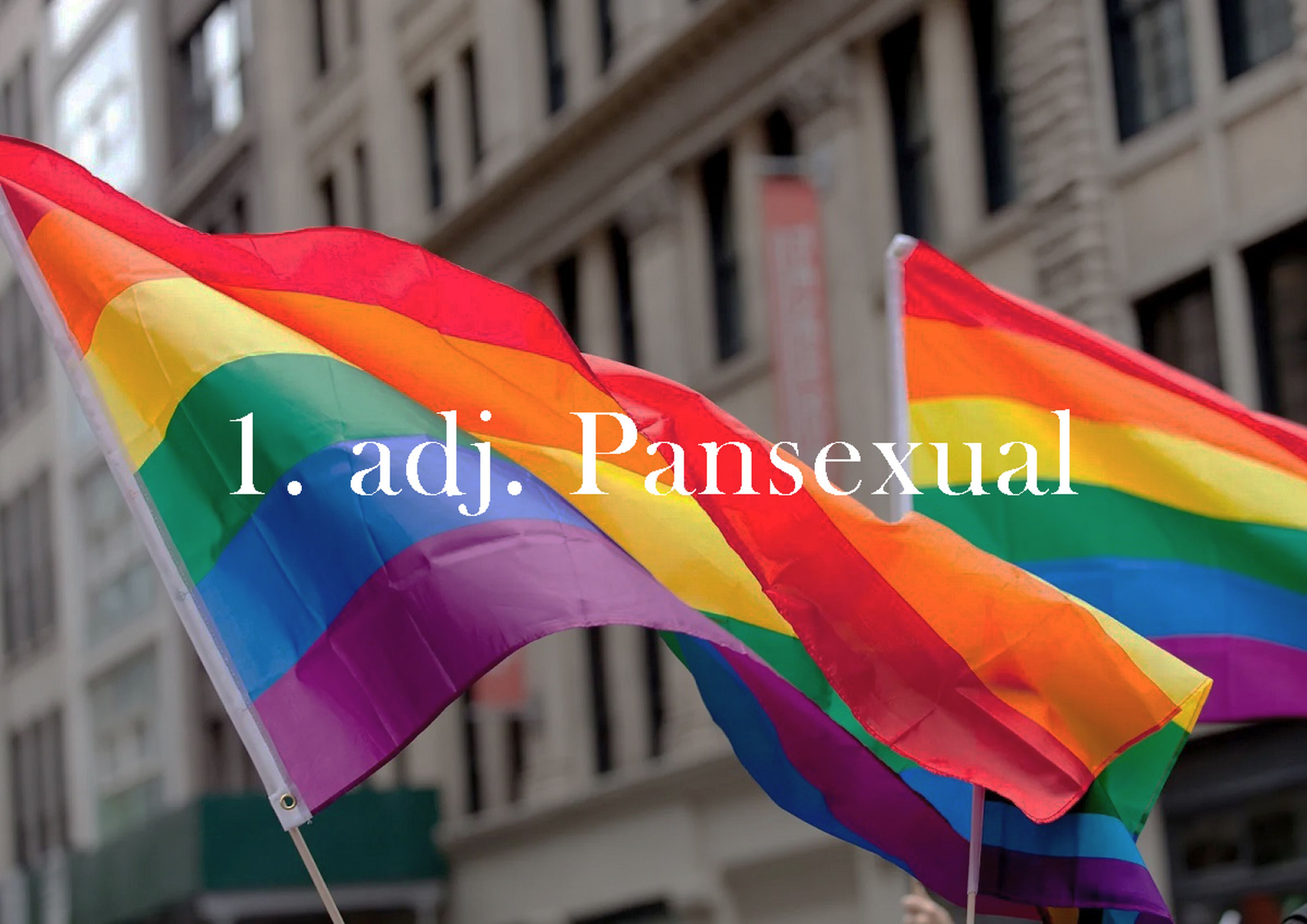 ¿Qué significa Pansexual?