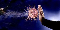 Virus magnéticos teledirigidos, arma definitiva que prueba la ciencia contra los tumores