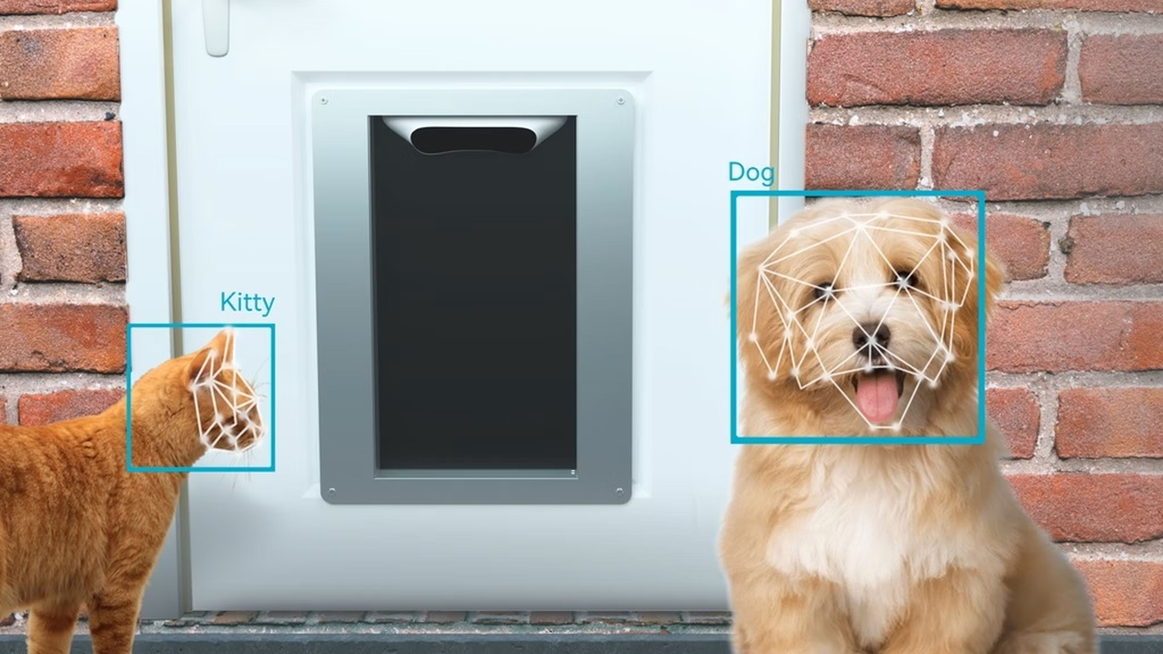 Petvation, la puerta para animales con IA y reconocimiento facial, que solo deja entrar a tus mascotas