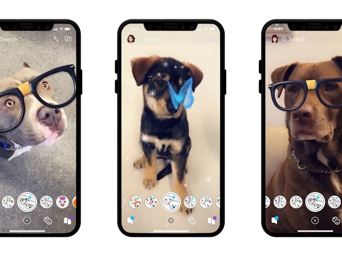 donde esta el filtro de perros en snapchat